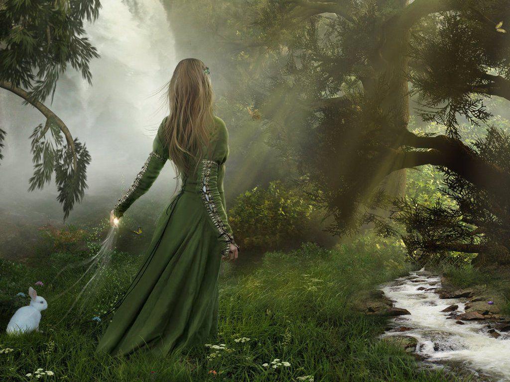 1024x768 Free download Enchanted Forest High Resolution Photo [1024x768] for your Desktop, Mobile & Tablet. Explore Enchanted Forest Wallpaper for Home. Rainforest Wallpaper for Walls, The Forest Wallpaper, Forest Wallpaper for Bedroom
