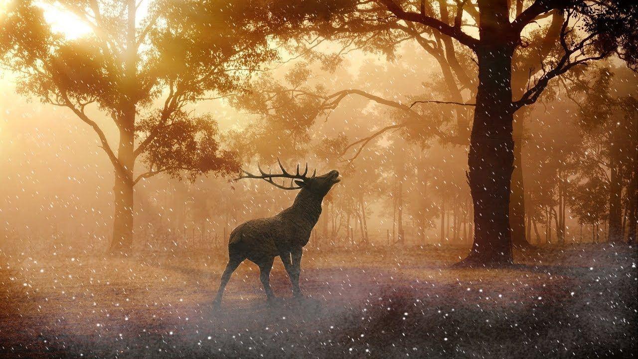 1280x720 Celtic Gate