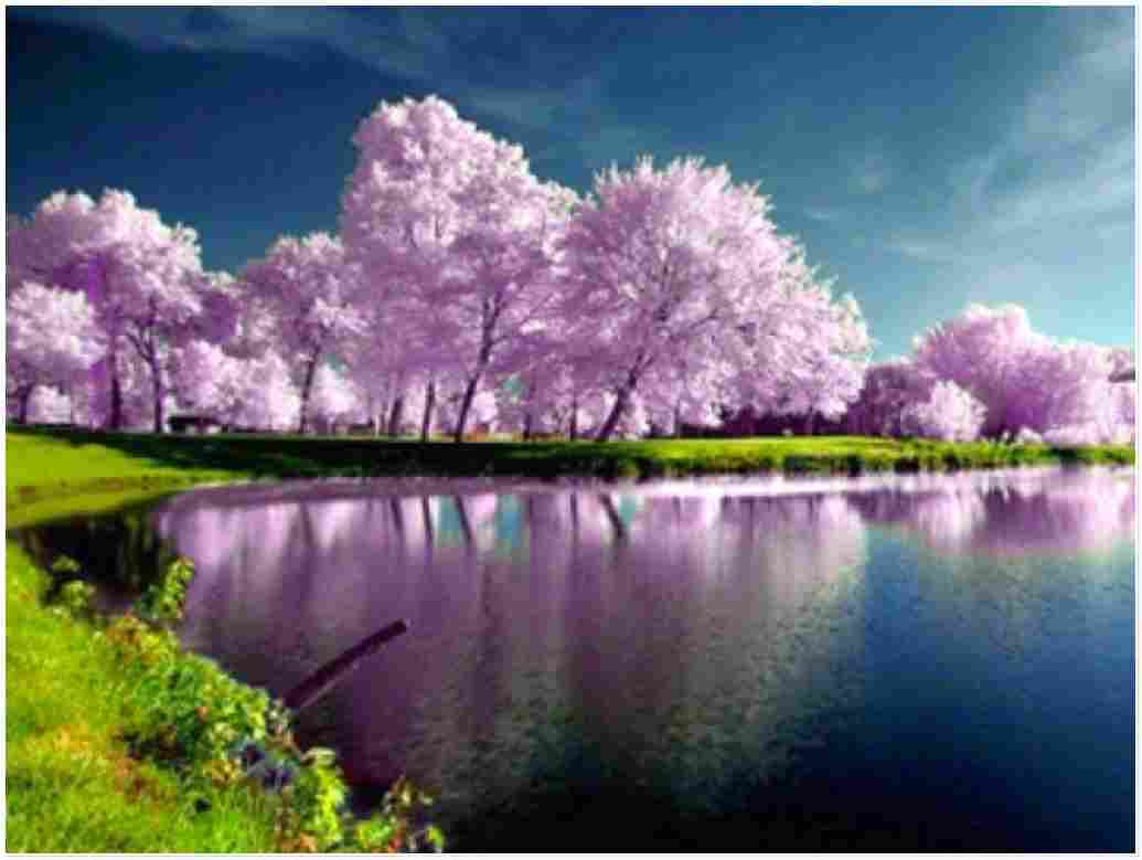 1035x779 Best 12 high resolution desktop wallpaper latest Update Wallpaper Wise