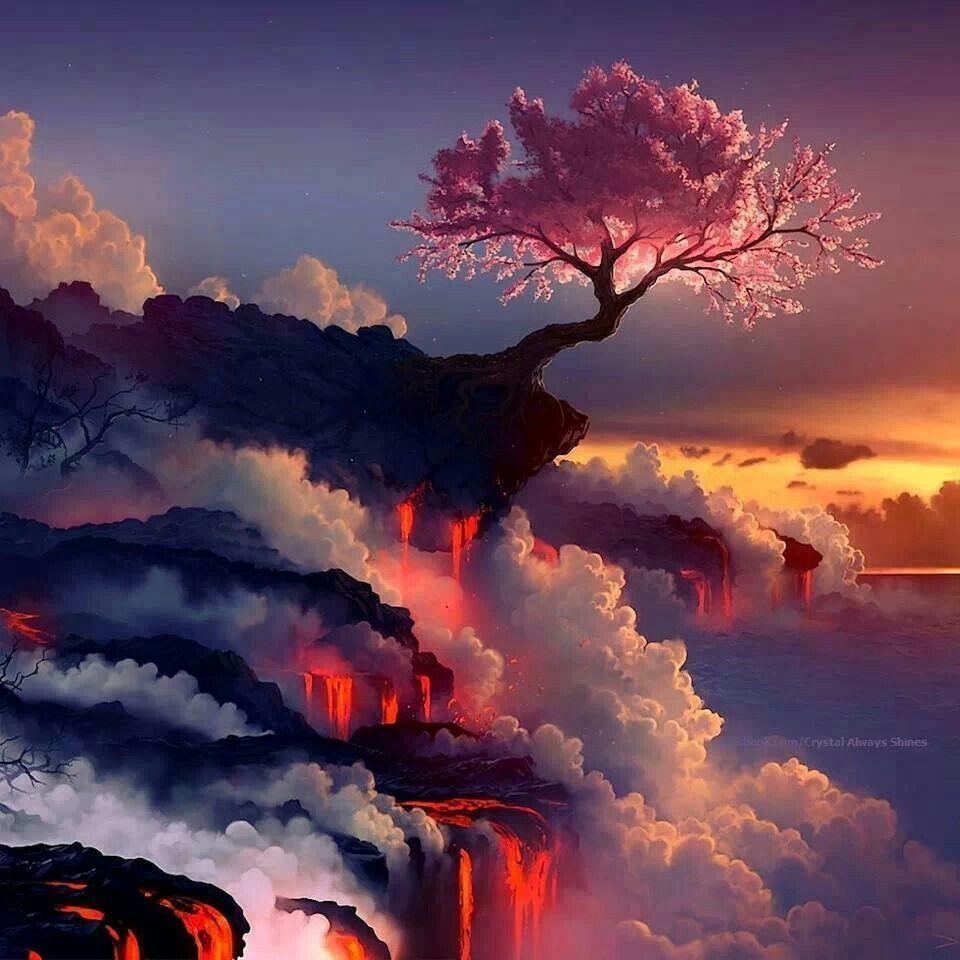 960x960 Peach Tree Anime Wallpaper