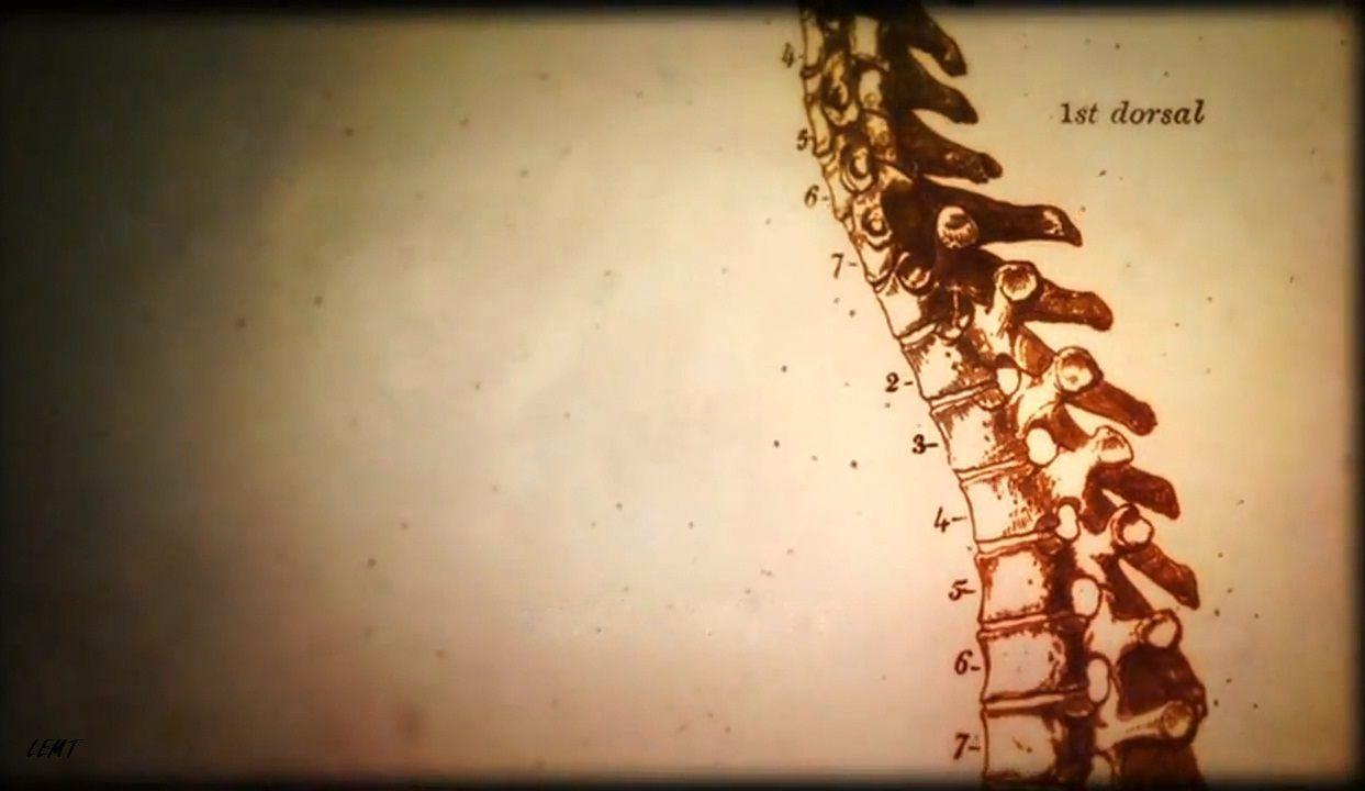 1243x720 Dr House Background