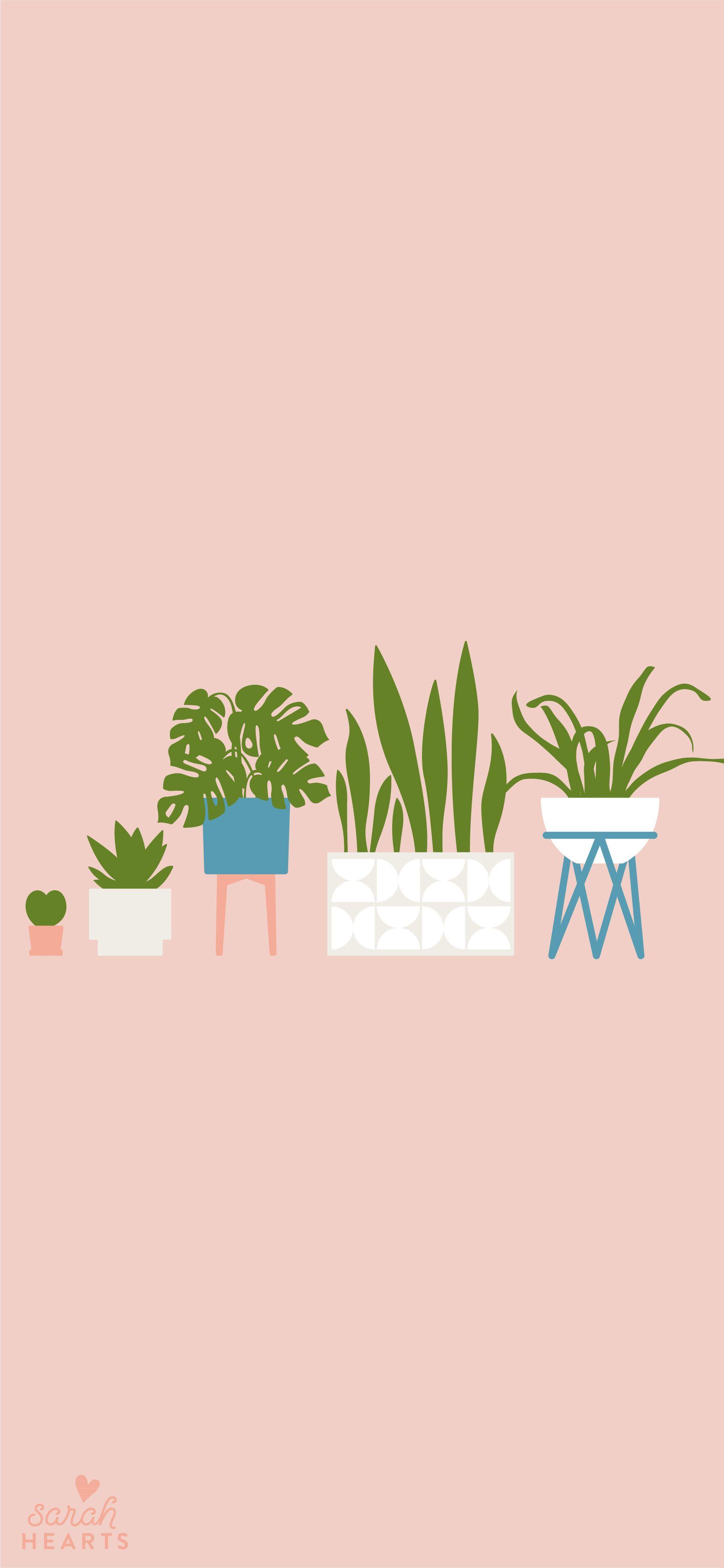 1726x3734 House Plant August 2019 Calendar Wallpaper