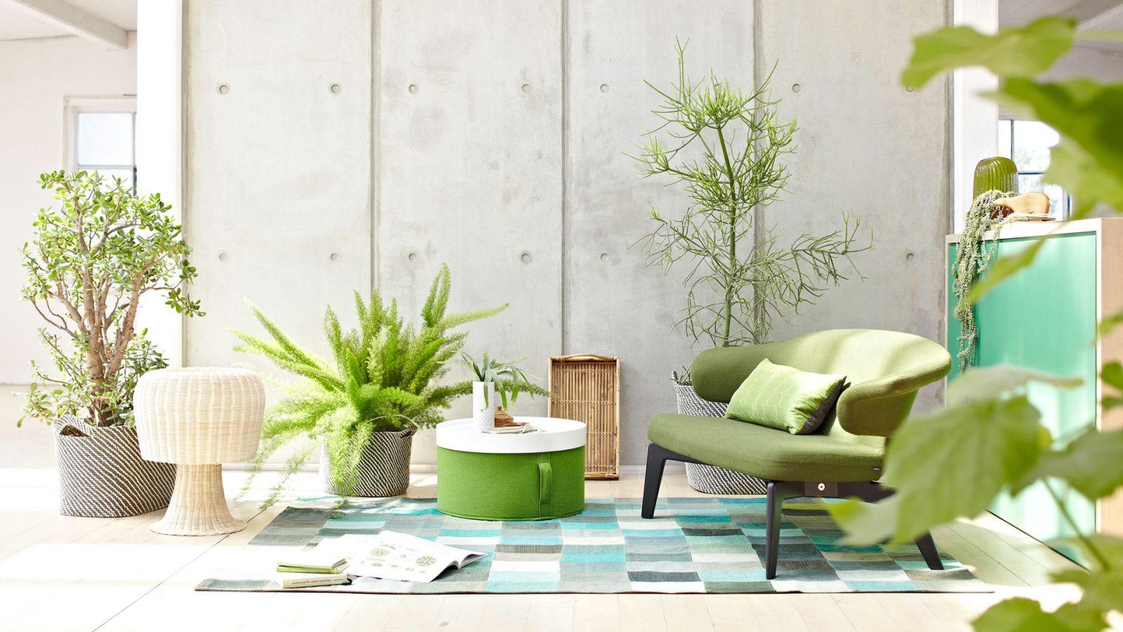 1600x900 Free download Indoor Plants 5 low maintenance houseplants perfect for Indian homes [1920x1080] for your Desktop, Mobile & Tablet. Explore Houseplant Wallpaper. Houseplant Wallpaper