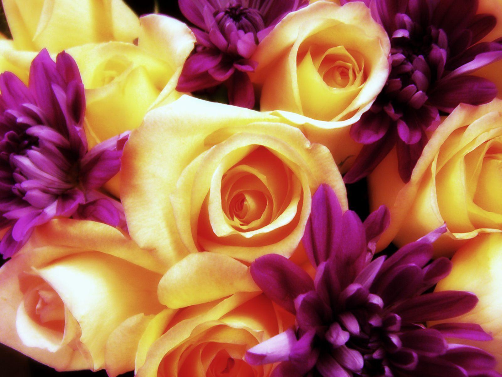 1600x1200 Purple And Gold Wallpaper