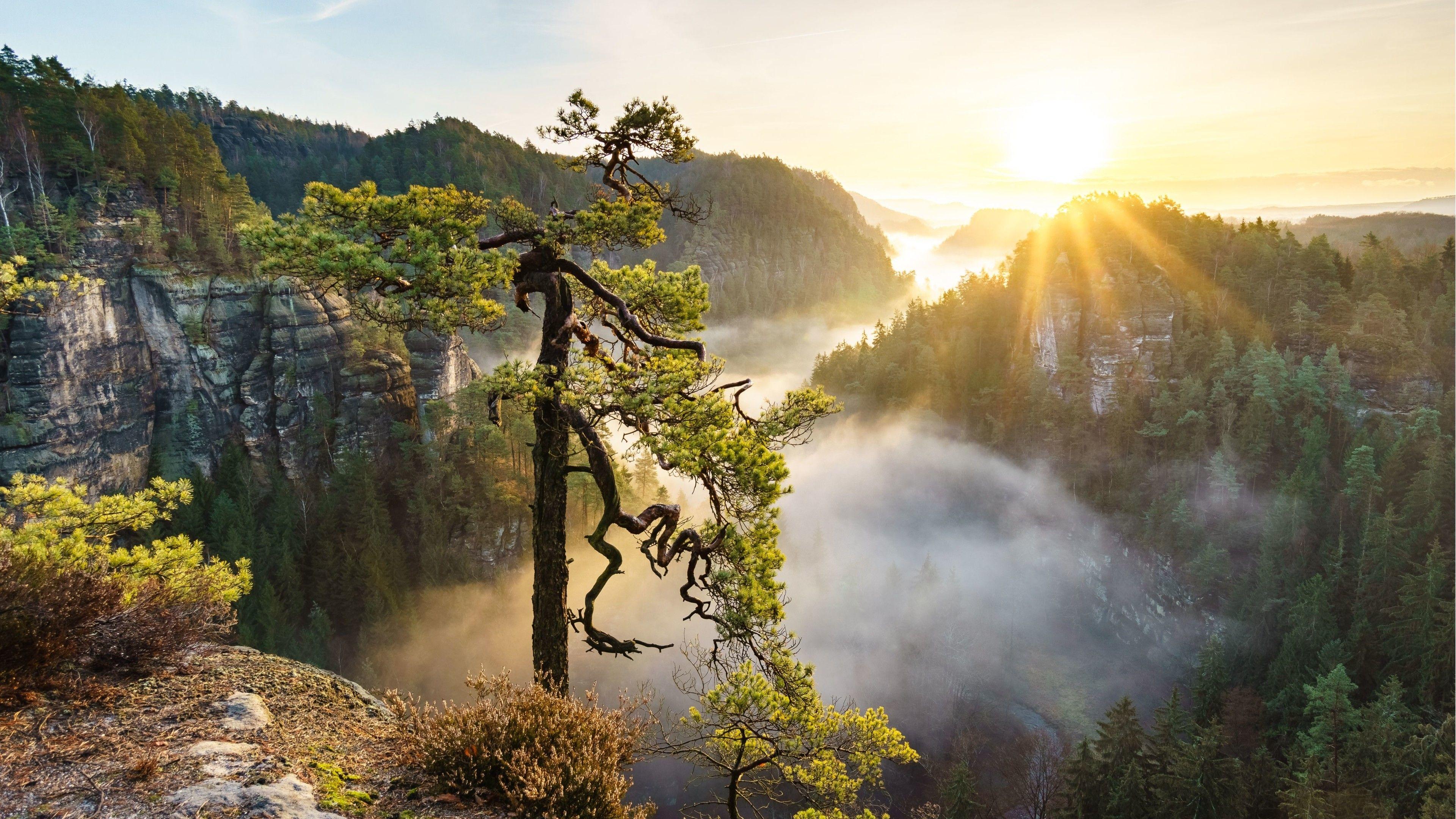 3840x2160 3840x 4k Nature Wallpaper Dump Data Id 139651 Photo Of Nature