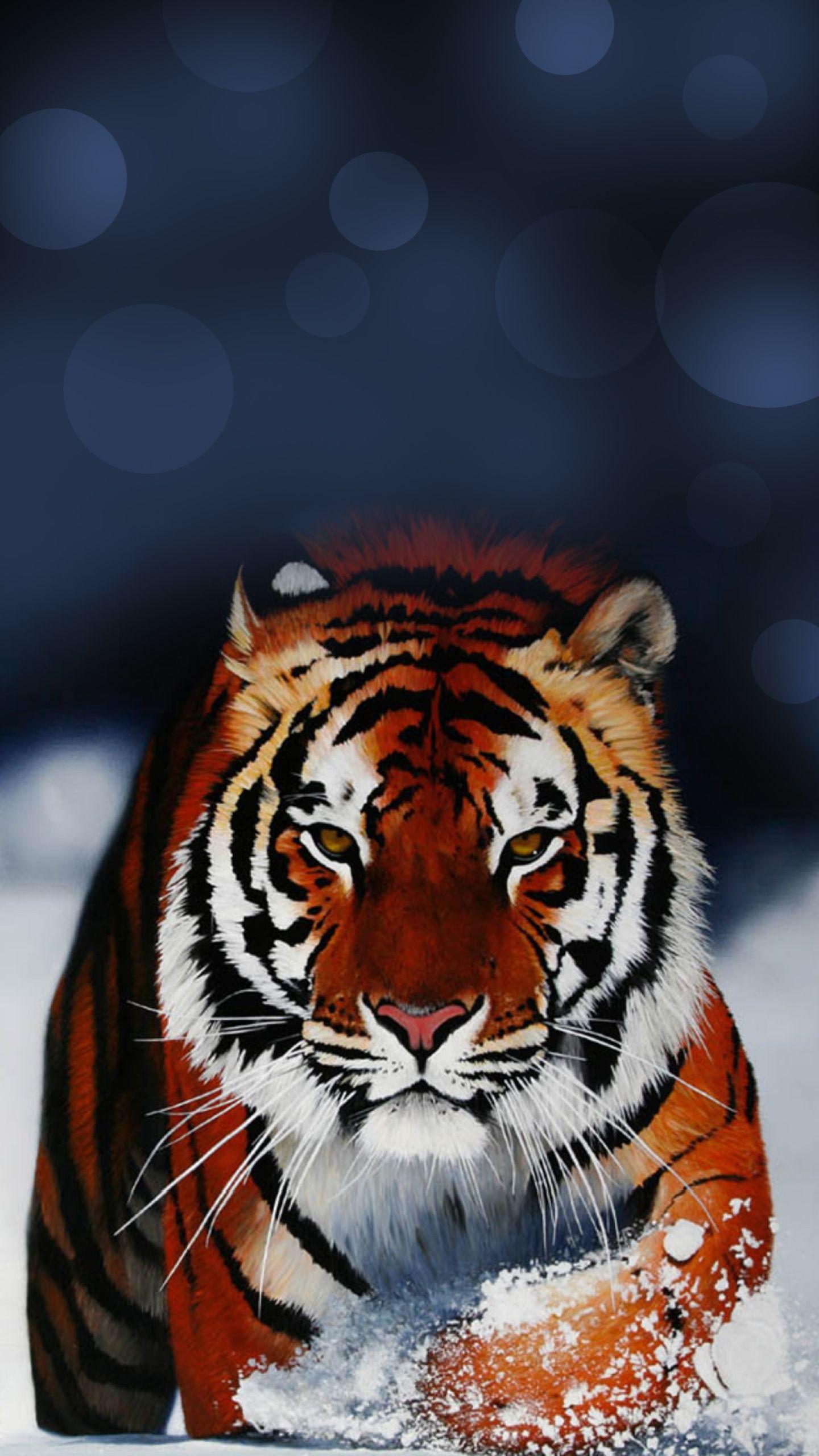 1440x2560 white tiger blue eyes samsung note5 HD wallpaper download. HD