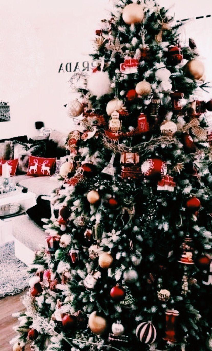 828x1371 Gallery. Christmas Vibes. VSCO .