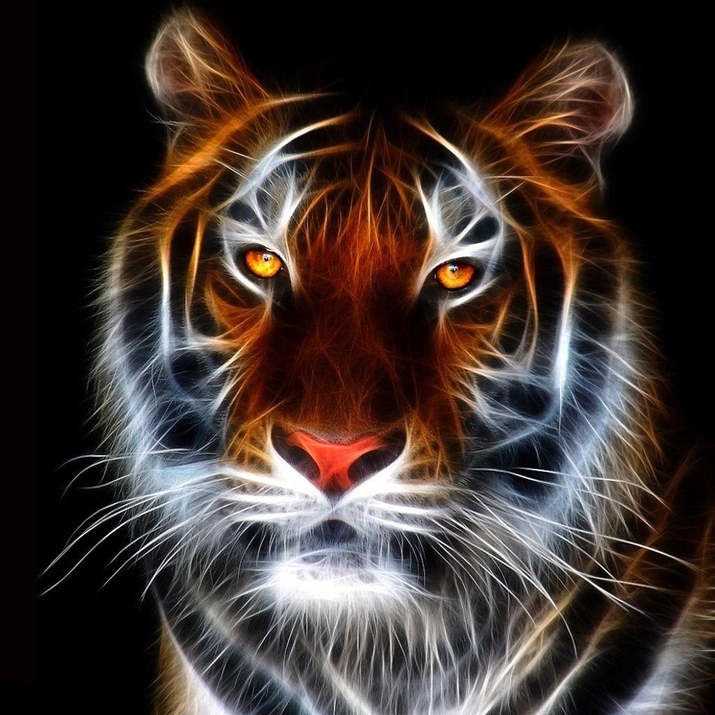 1024x1024 mobile phone wallpaper download