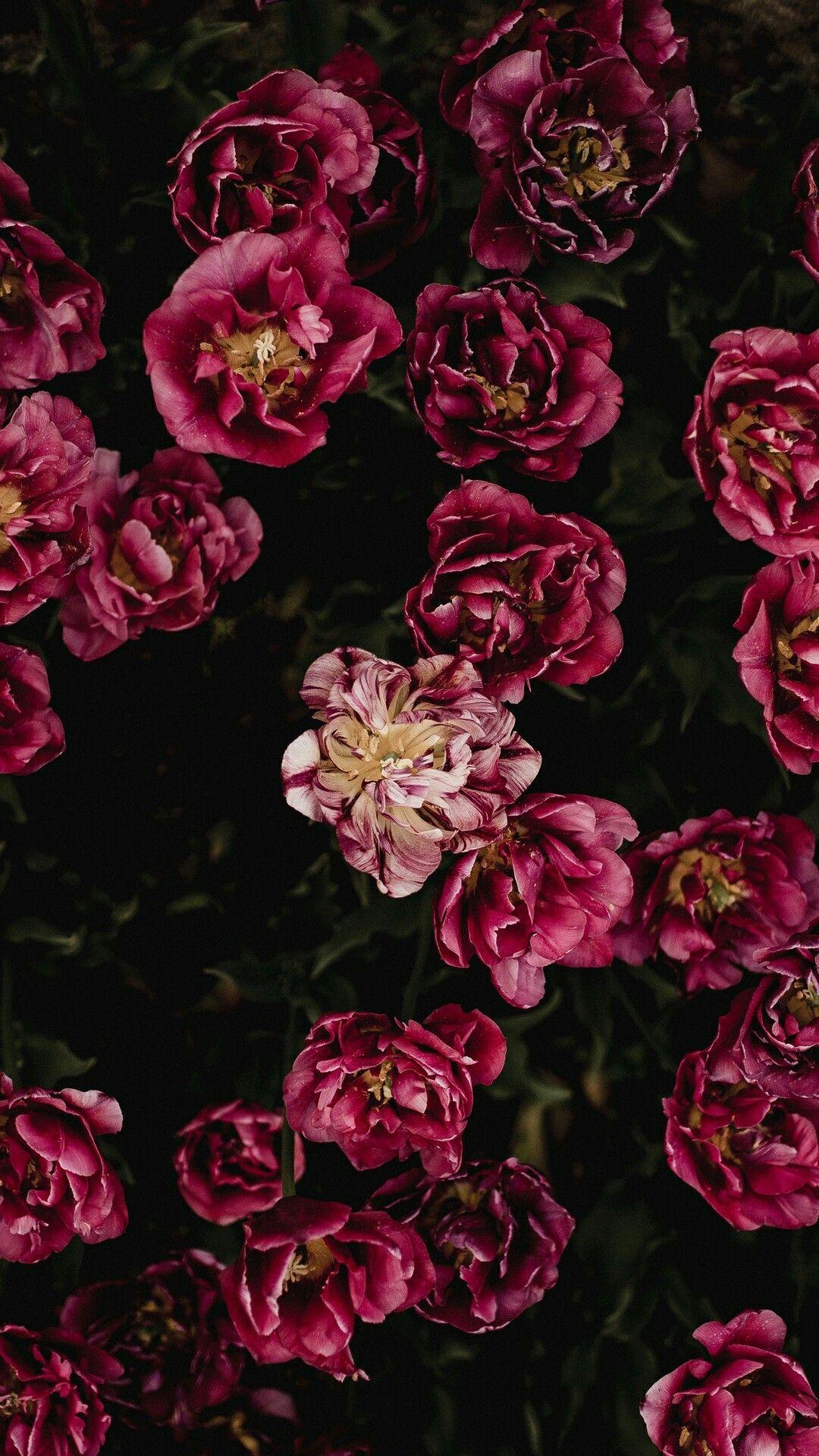 1080x1920 Floral wallpaper