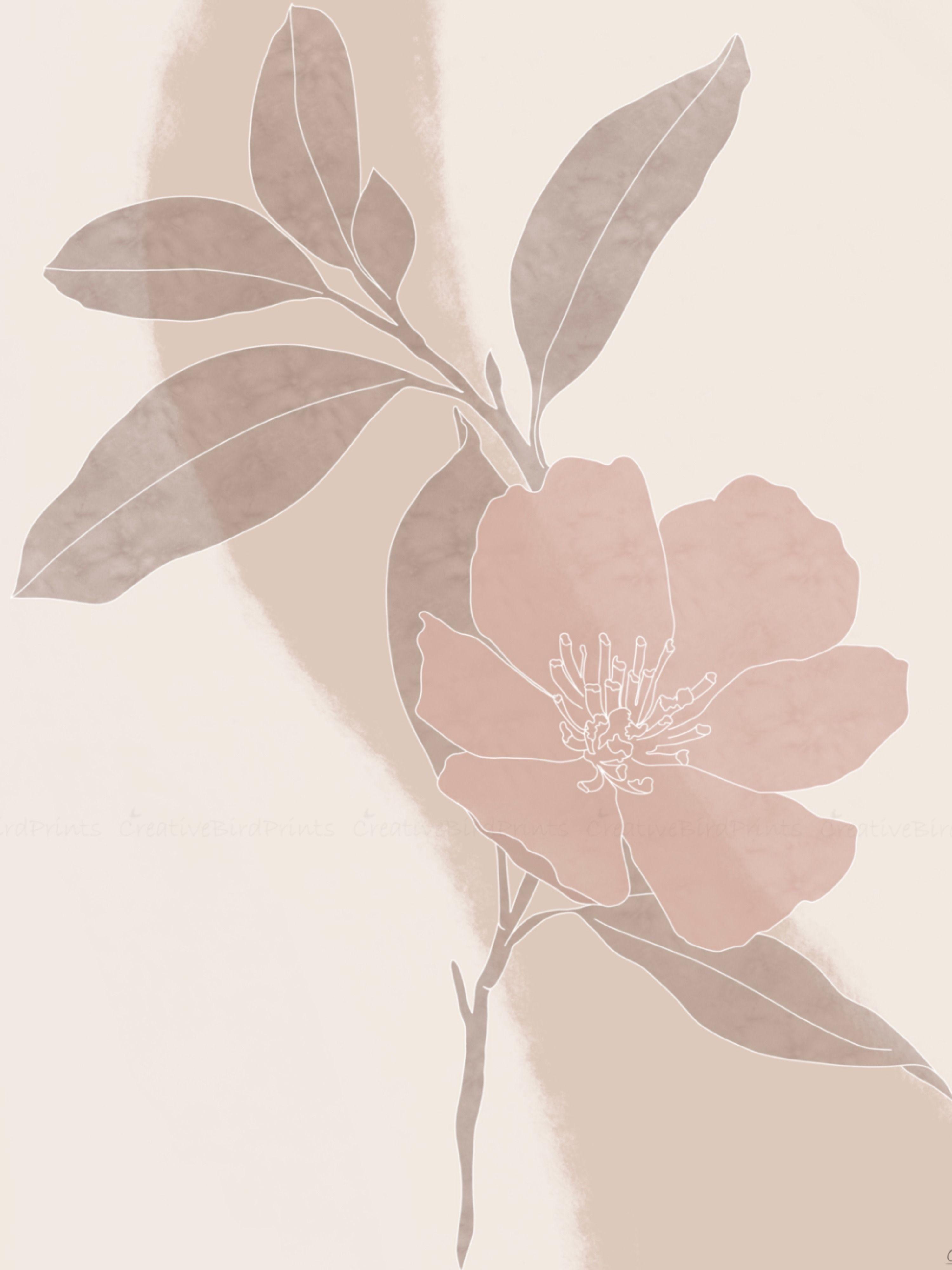 Minimalist Aesthetic Flower Wallpaper Pixlith 