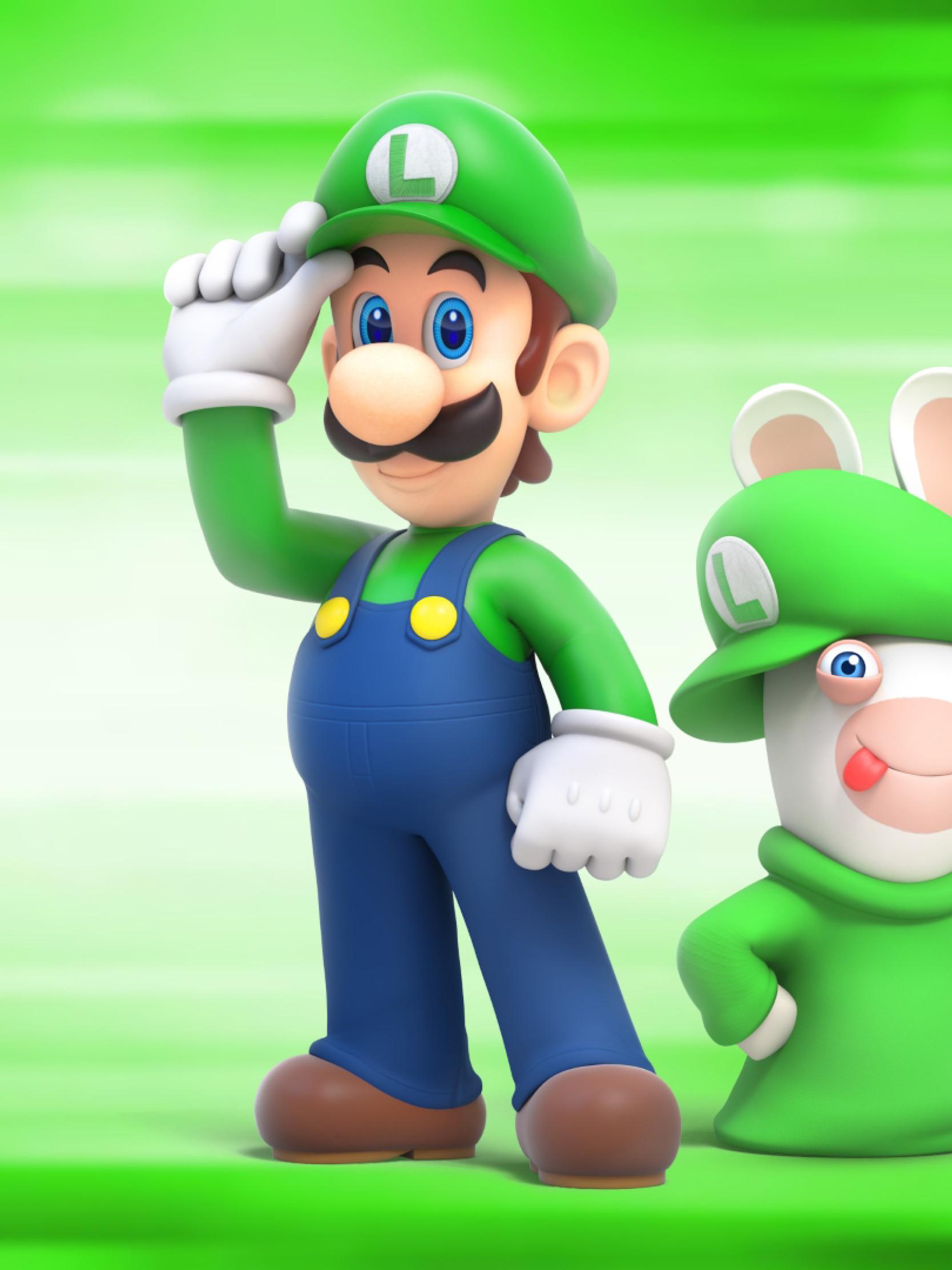 1668x2224 Luigi Mario Raving Rabbids .