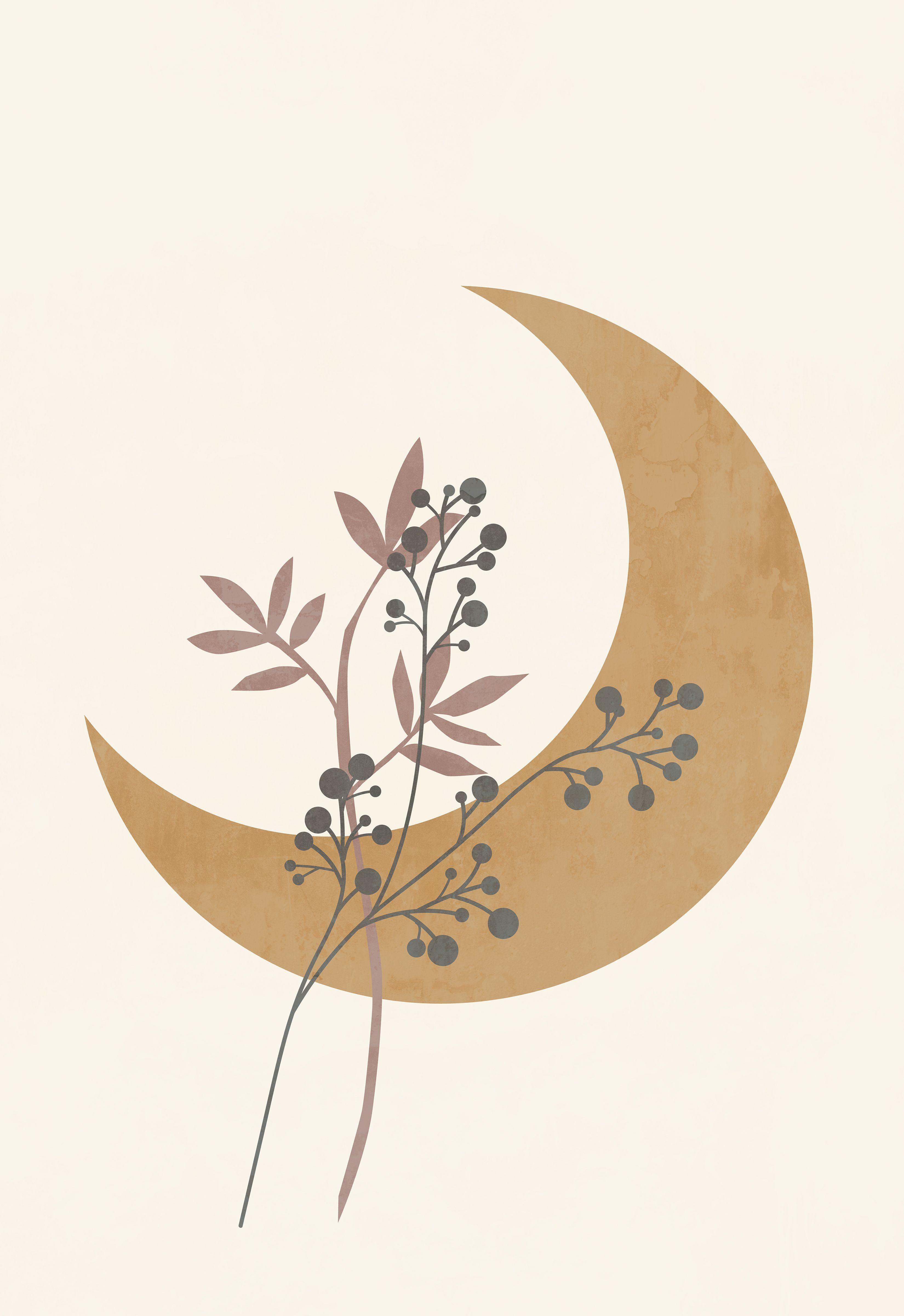 Boho Art Wallpapers Top Free Boho Art Backgrounds WallpaperAccess