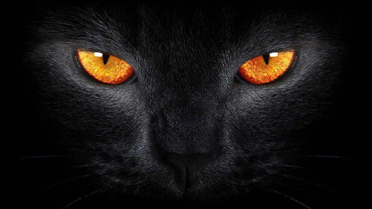 1280x720 Scary Eyes Wallpaper