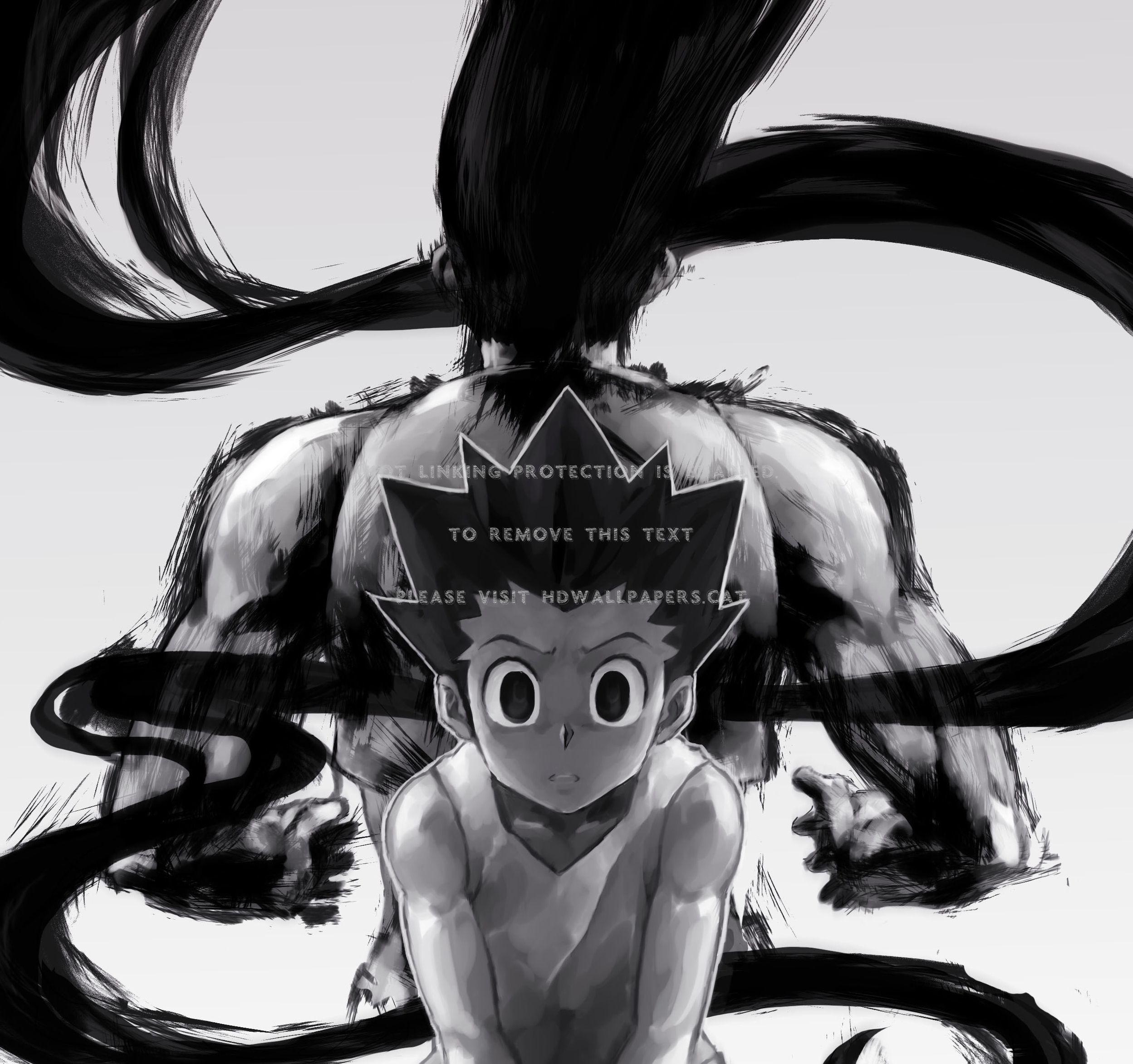 Gon Rage Wallpapers  Top Free Gon Rage Backgrounds  WallpaperAccess