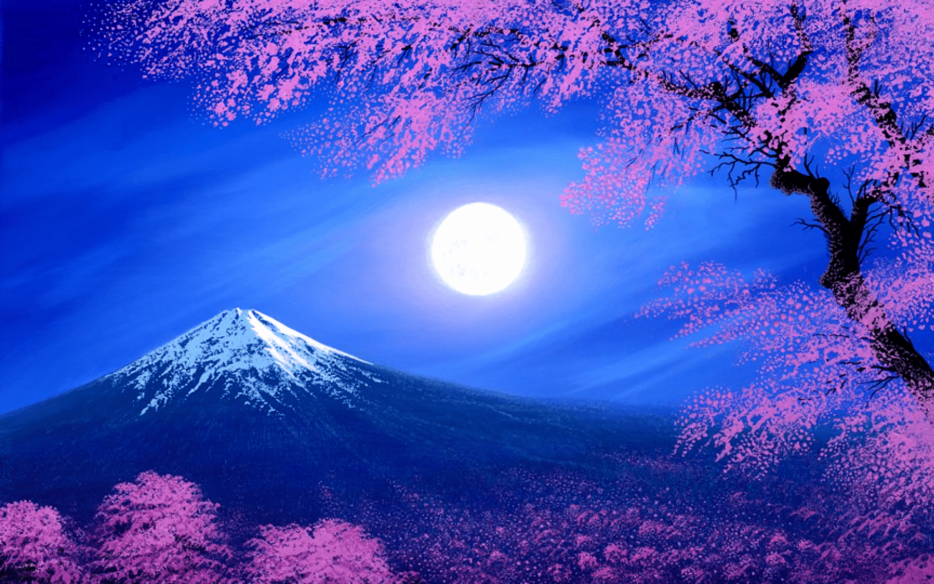 1920x1200 Cherry Blossom At Night Paintingcherryblossomfreefestival.