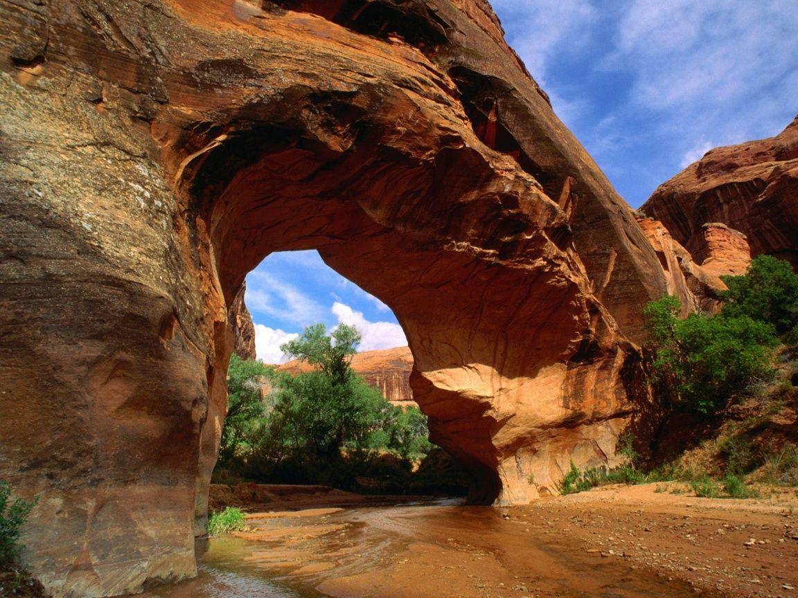 1152x864 Coyote Natural Bridge Wallpaper .