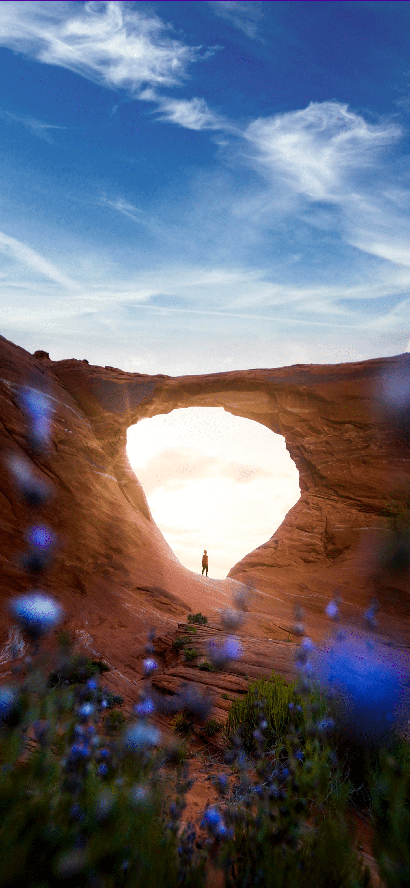 1420x3073 Natural Bridge Centralwallpaper.