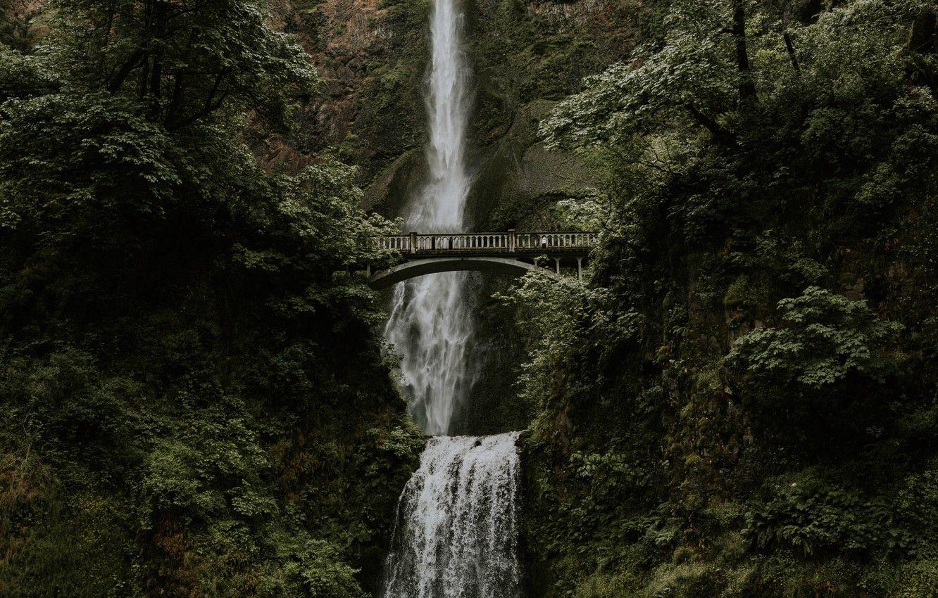 1332x850 Nature Bridge Water