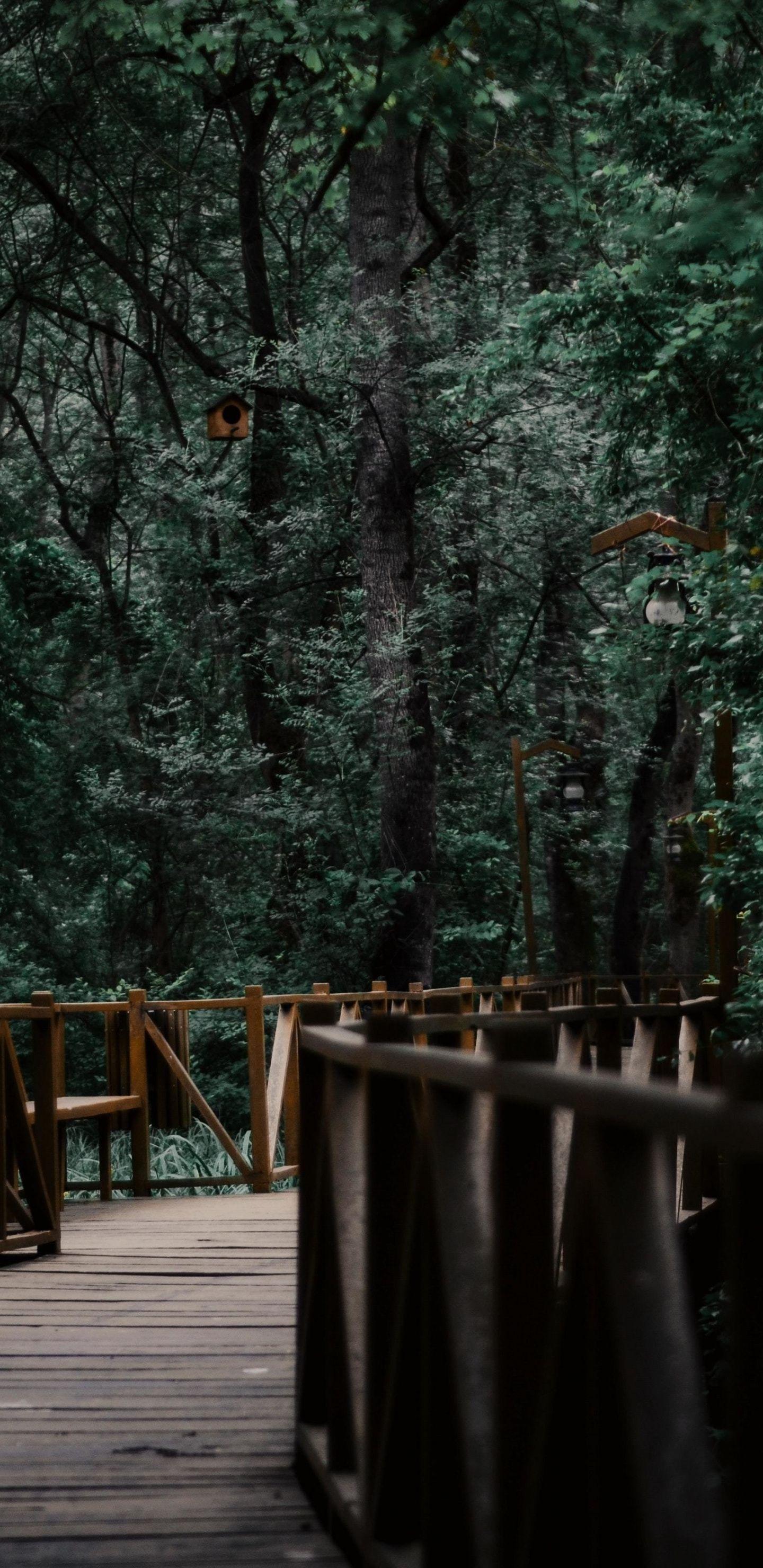 1440x2960 Wooden bridge, garden, nature .com