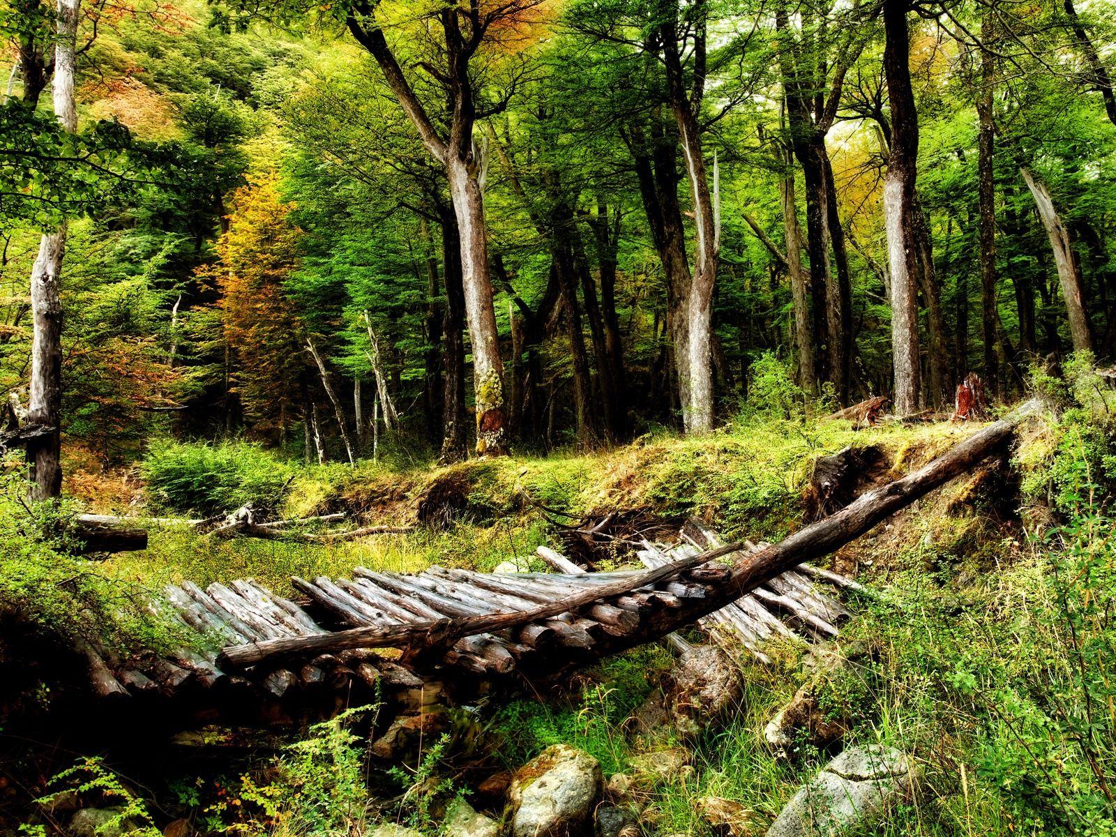 1600x1200 Broken Bridge Wallpaper Landscape .all Free