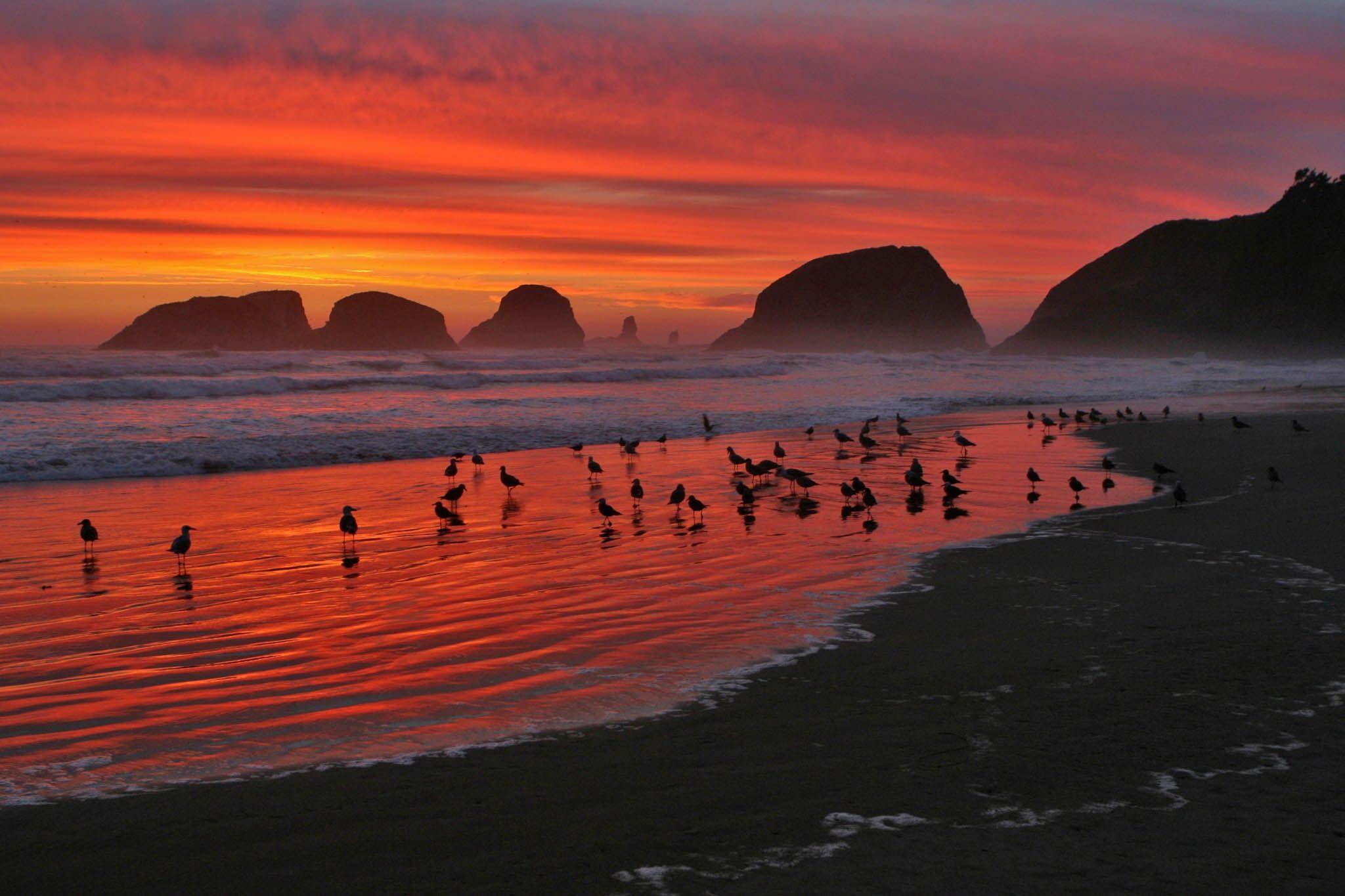 Cannon Beach Oregon Wallpapers - Top Free Cannon Beach Oregon ...