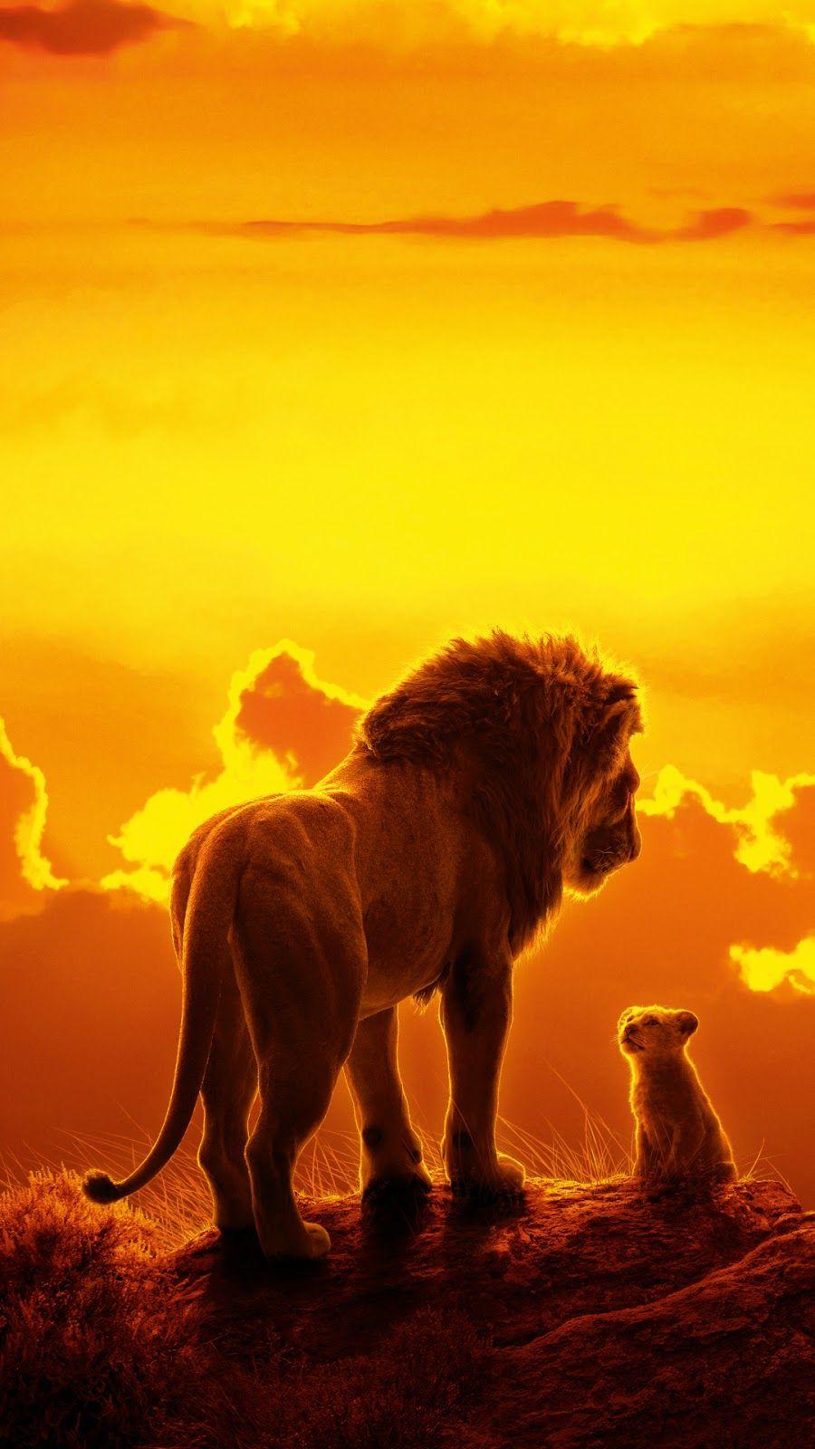 900x1600 The Lion King 2019 Mobile Wallpaper .
