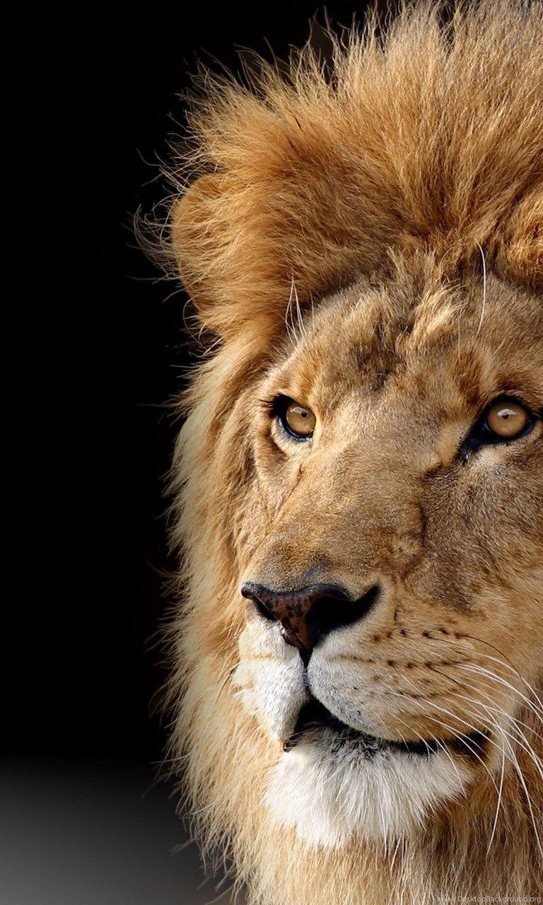 768x1280 Wallpaper Mac Os X Lion Desktop