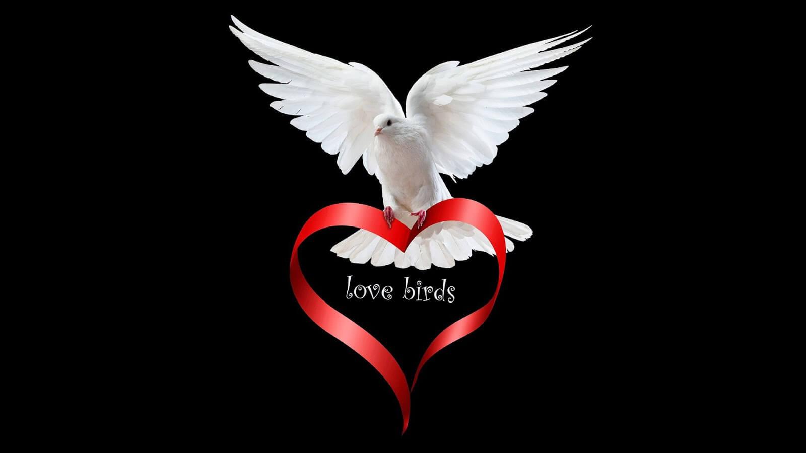 1600x900 HD Love Wallpaper 1080P {love image .