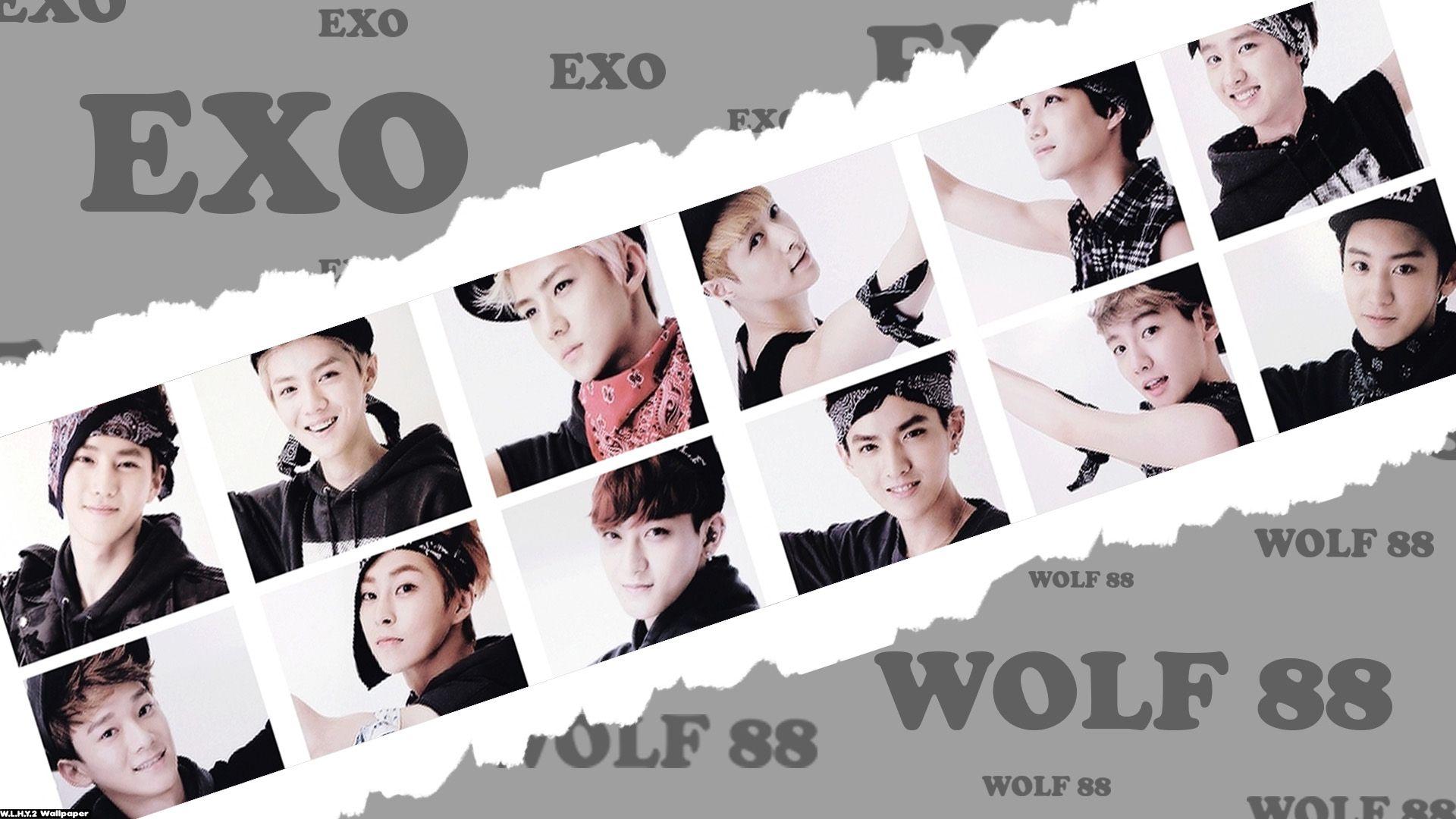 1920x1080 EXO 12 Members Wallpaperwallpaper.dog