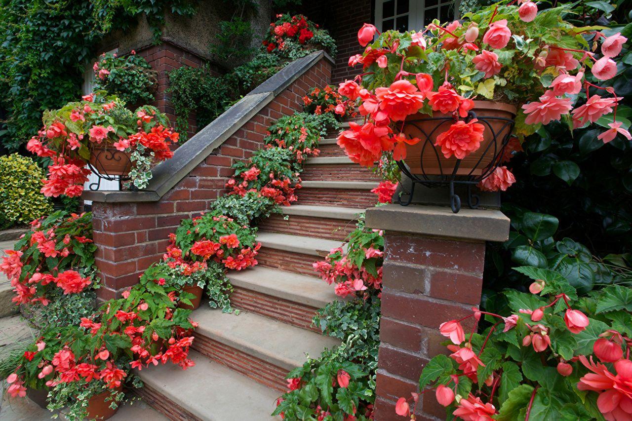1280x853 Picture Walsall Garden stairway Pink .