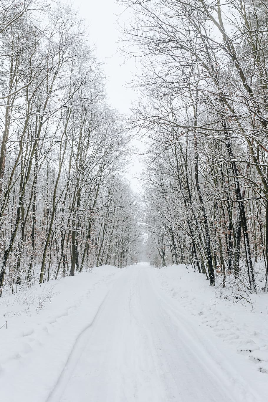 910x1365 Snow Road