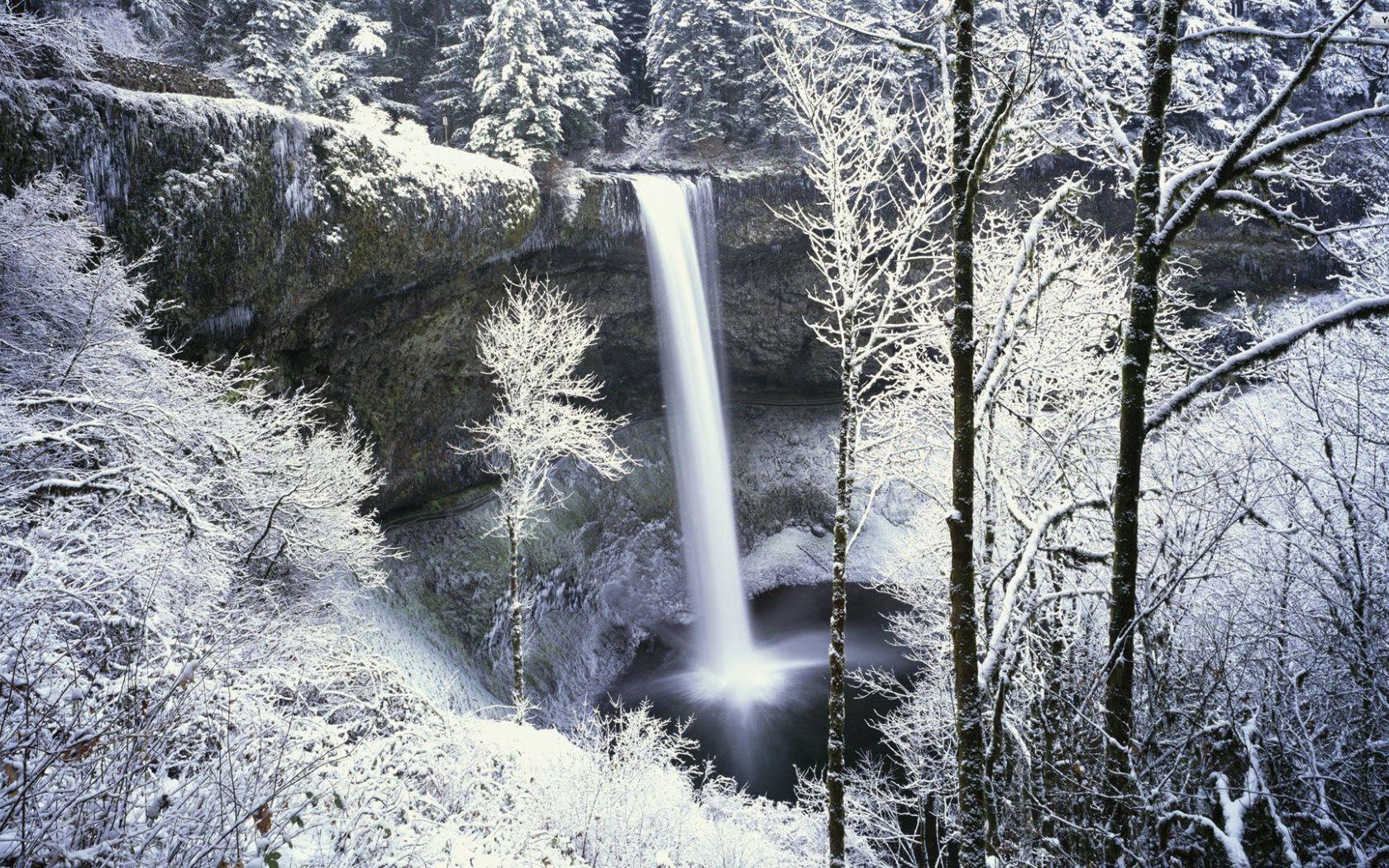 1680x1050 Free download Snowy Forest Wallpaper HD .