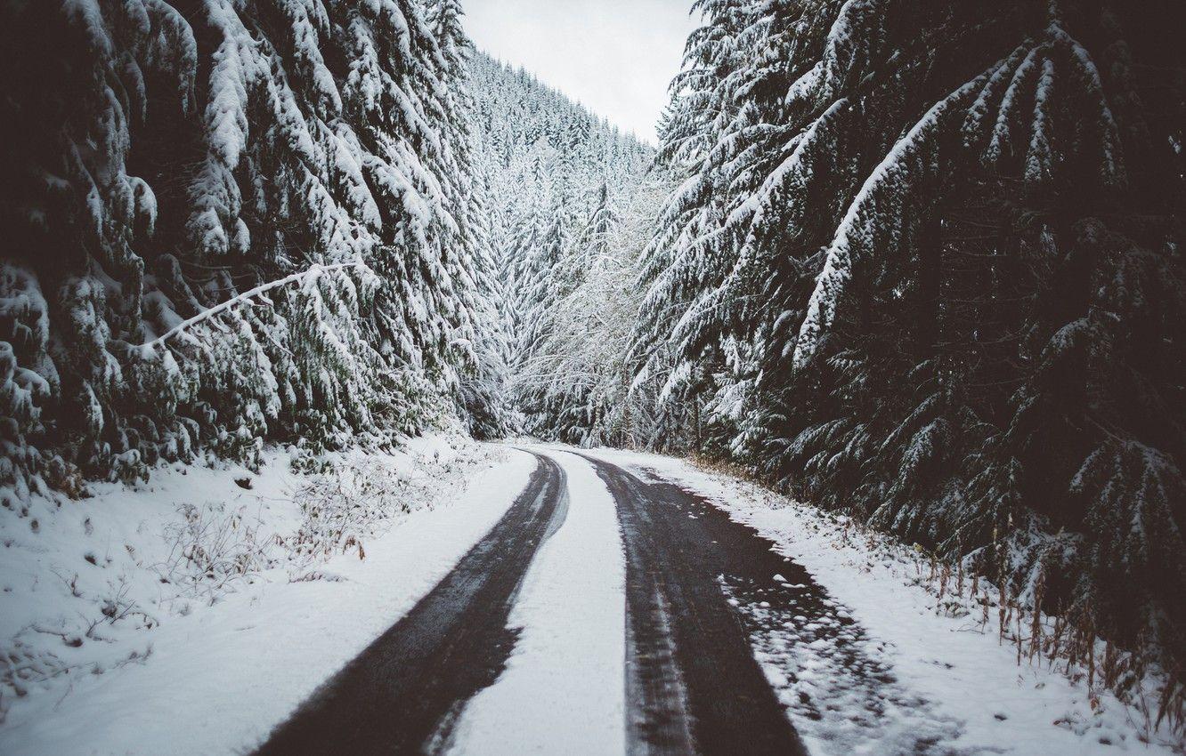 1332x850 Wallpaper Winter, Road, Snow, Forest .