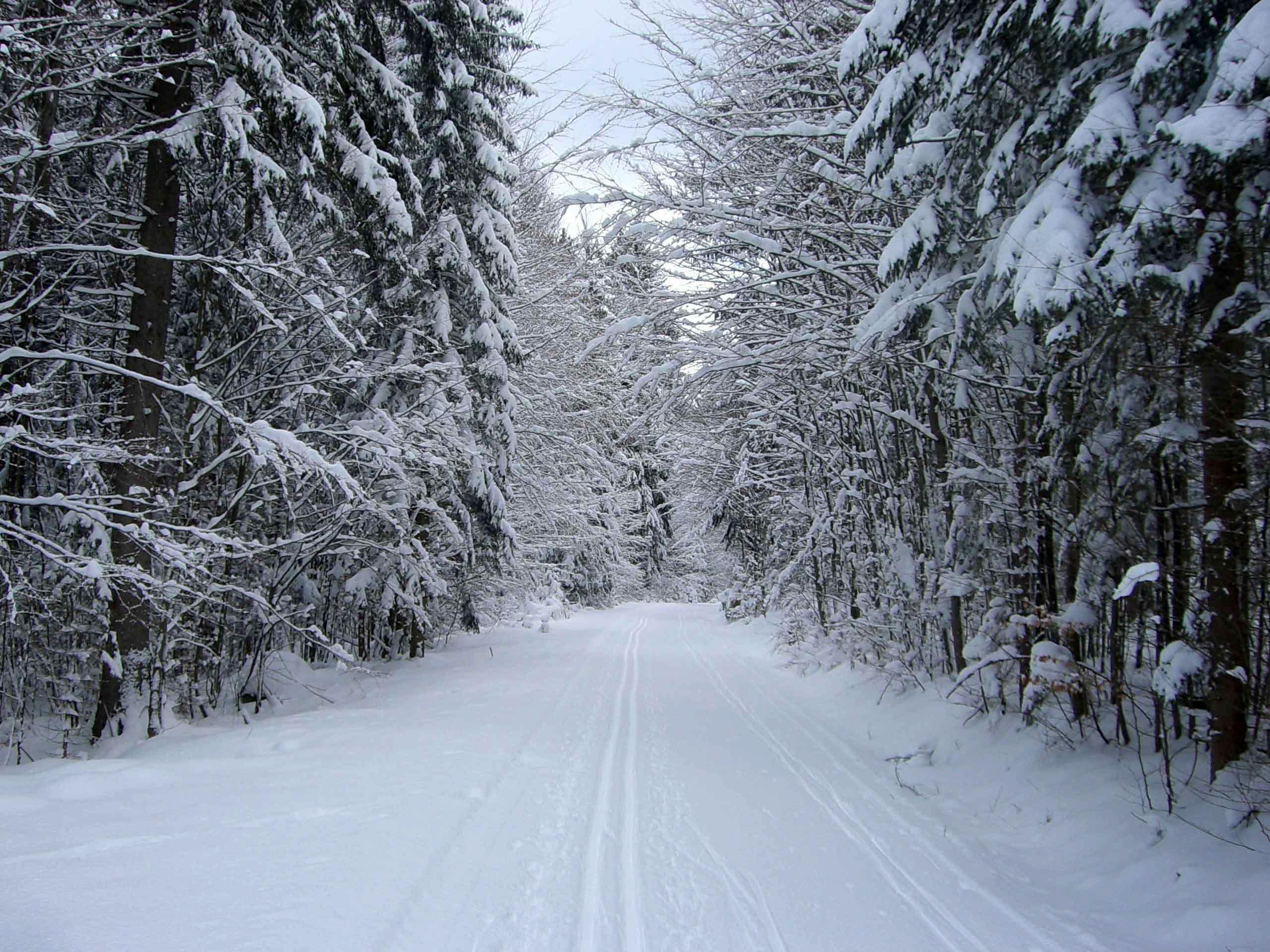 2560x1920 Winter Snow Road
