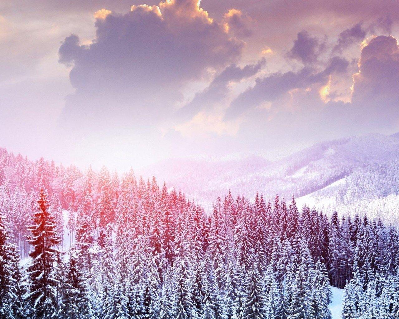 1280x1024 Snow Forest Wallpaper HD Download .
