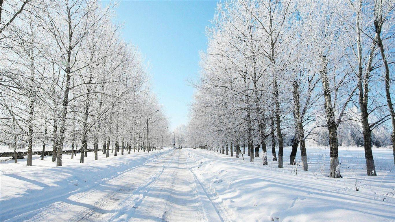 1366x768 Snowy Road Winter Scenery HD Wallpaper .