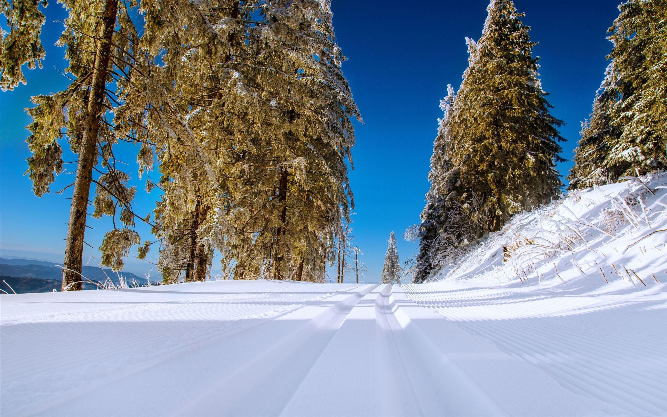 2304x1440 Winter Snowy Road Scenery MacBook Air .