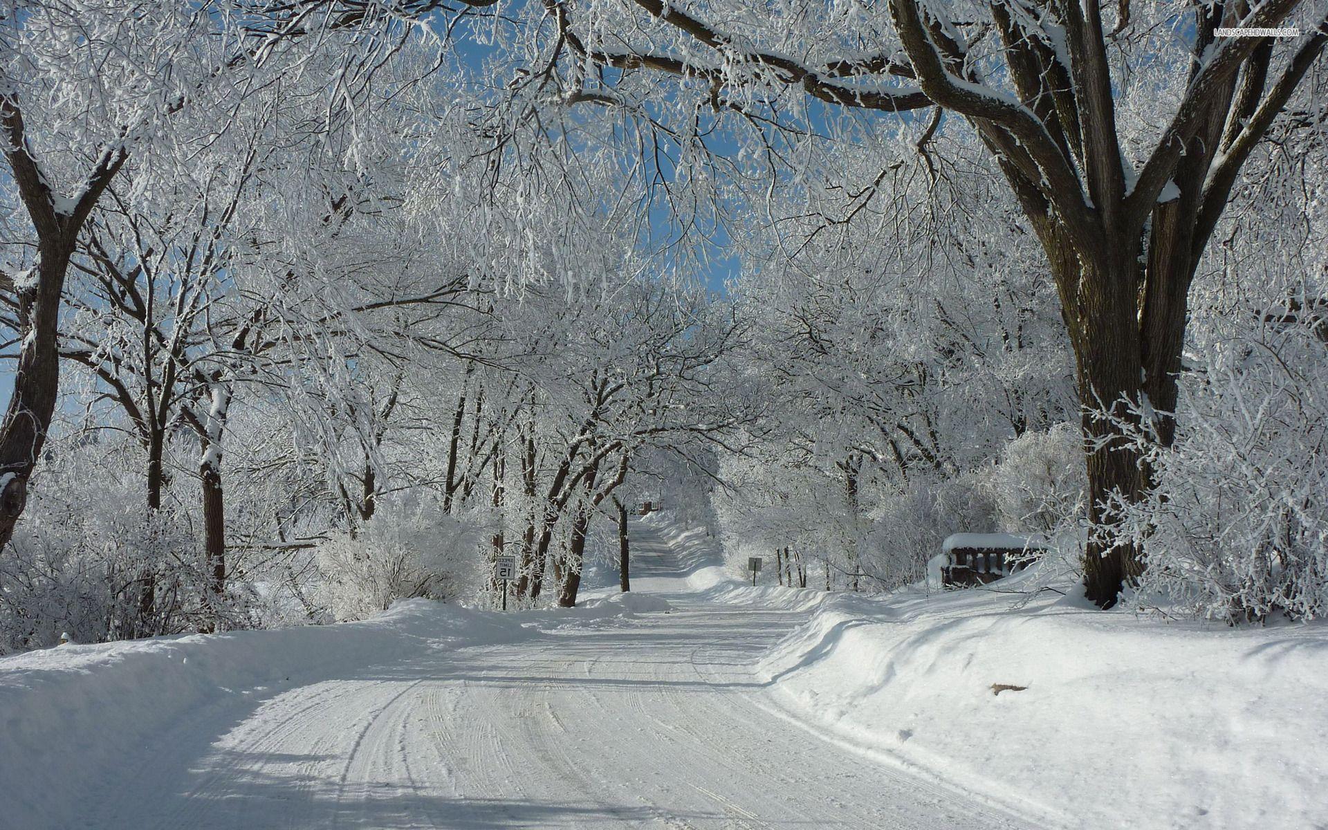 1920x1200 Nice Snowy Road & Forest wallpaper .