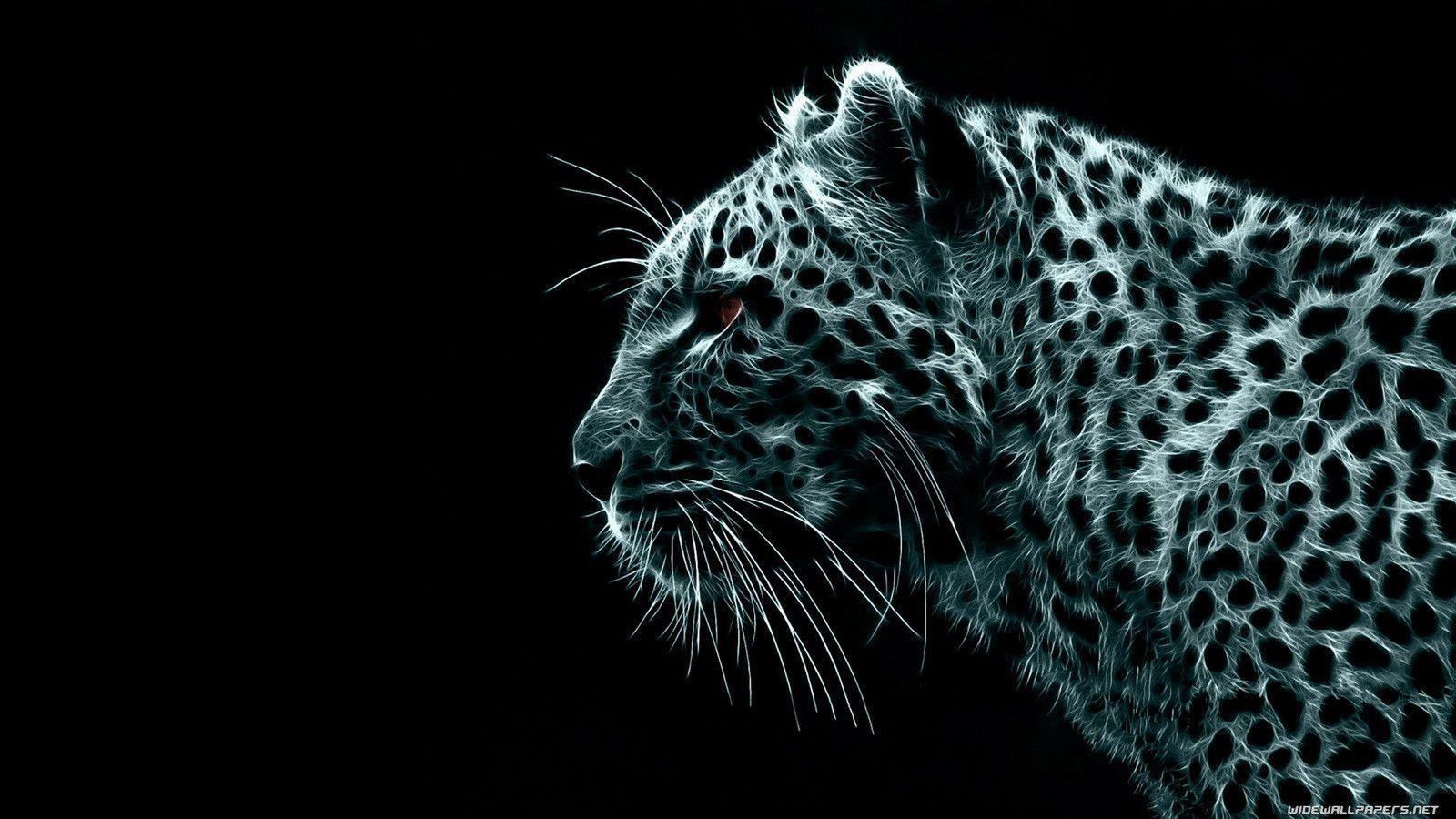 1600x900 Animal wallpaper, HD dark wallpaper .