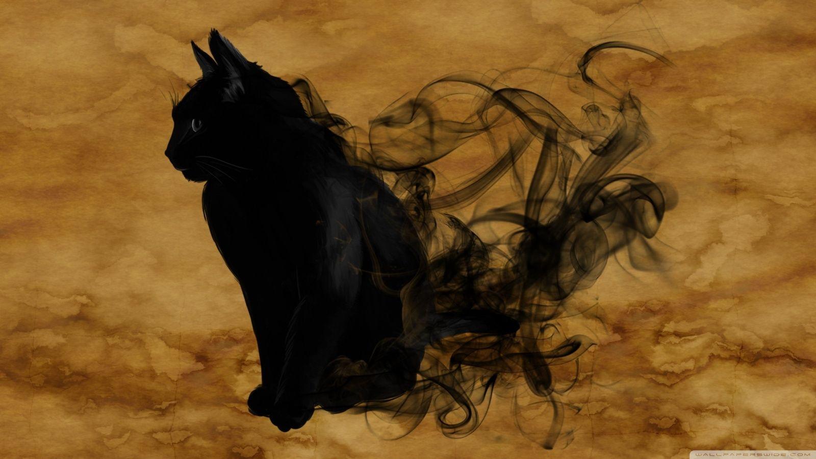 1600x900 Halloween Black Cat Background .