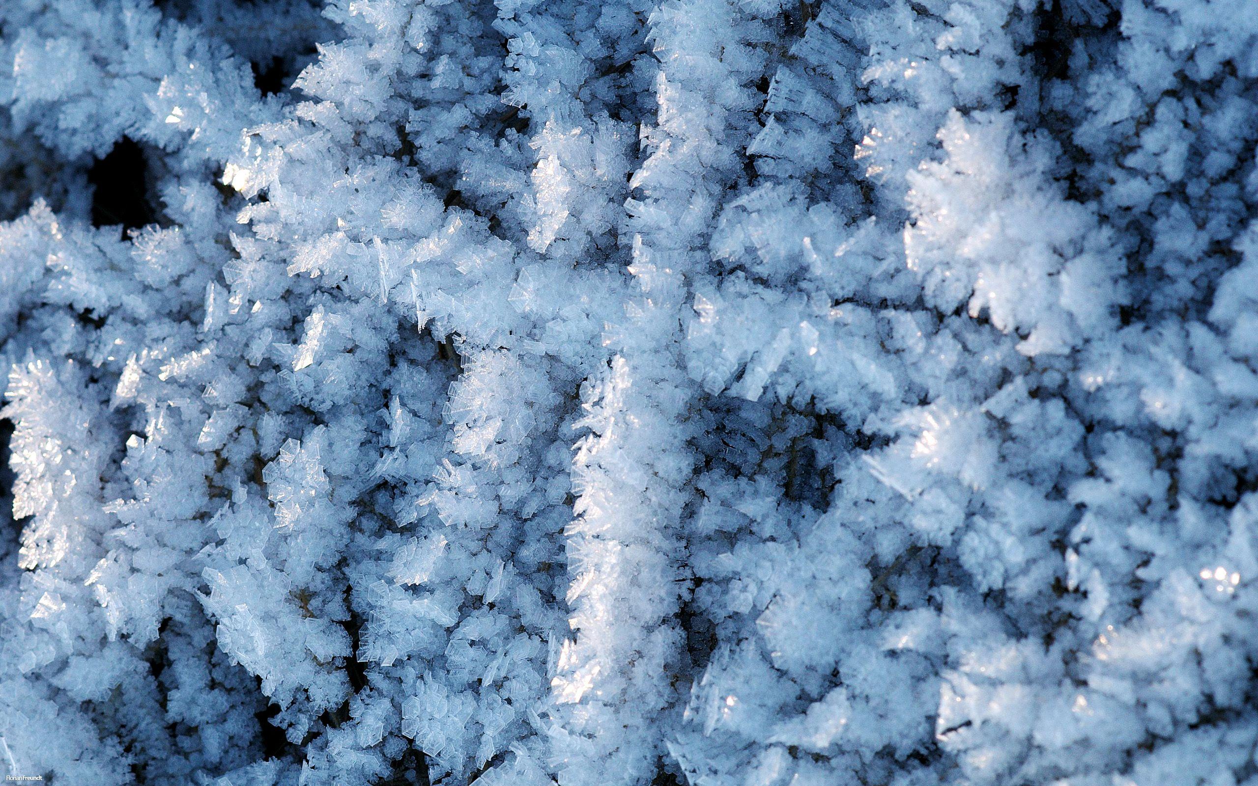 Frosty Wallpapers - Top Free Frosty Backgrounds - WallpaperAccess