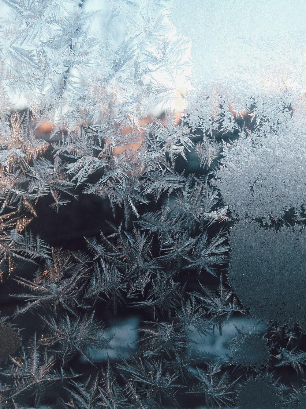 1000x1333 Frost Picture. Download Free Image .com