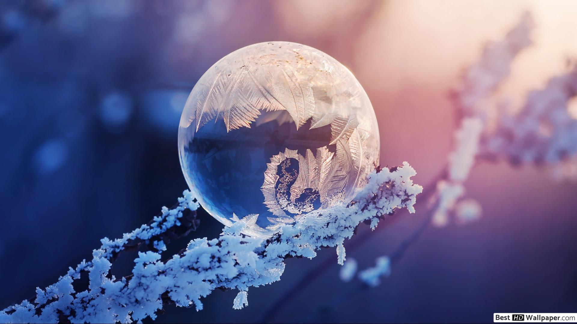 Frosty Wallpapers - Top Free Frosty Backgrounds - WallpaperAccess