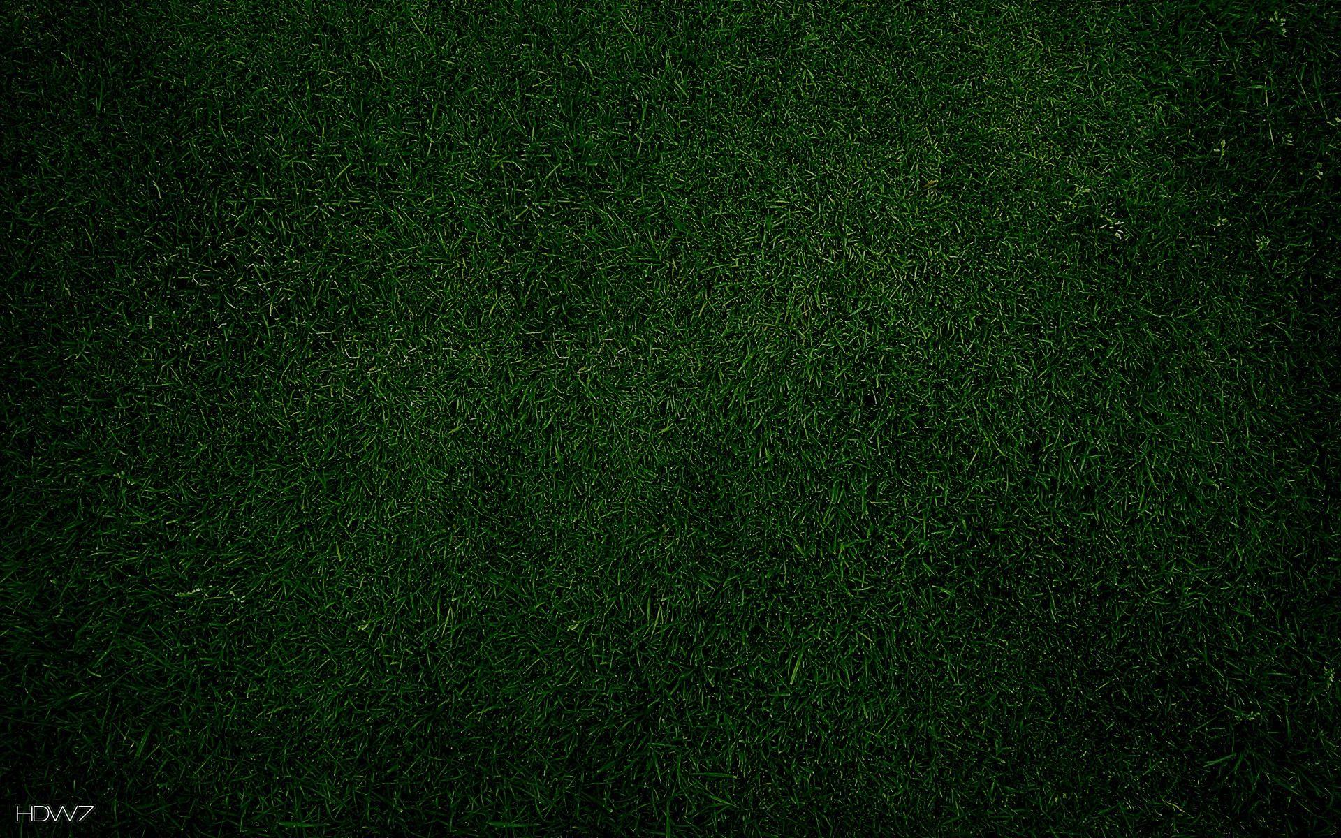 1920x1200 plain background. HD wallpaper .
