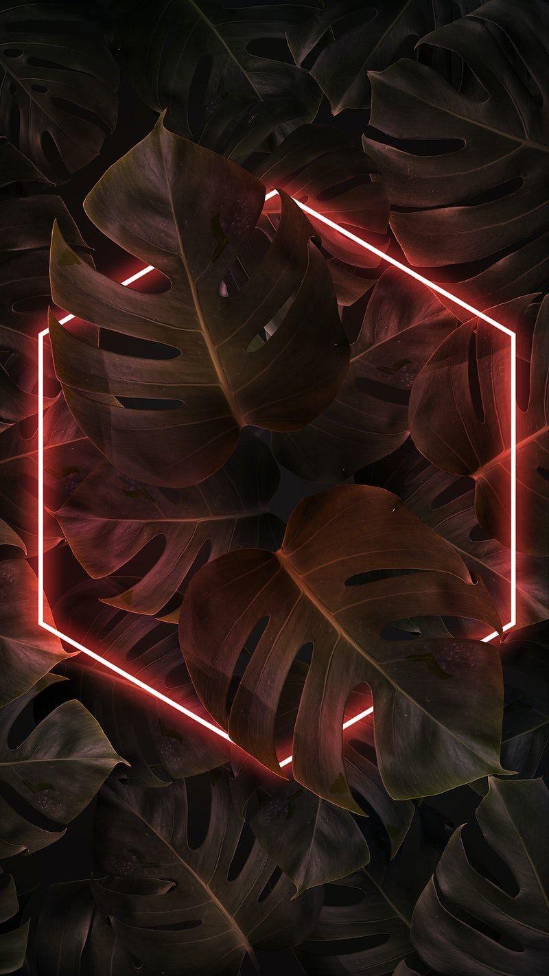 800x1422 Vectơ, PNG, Mockups & Nền Miễn phí https://wallpaperaccess.com/full/5160868.jpg