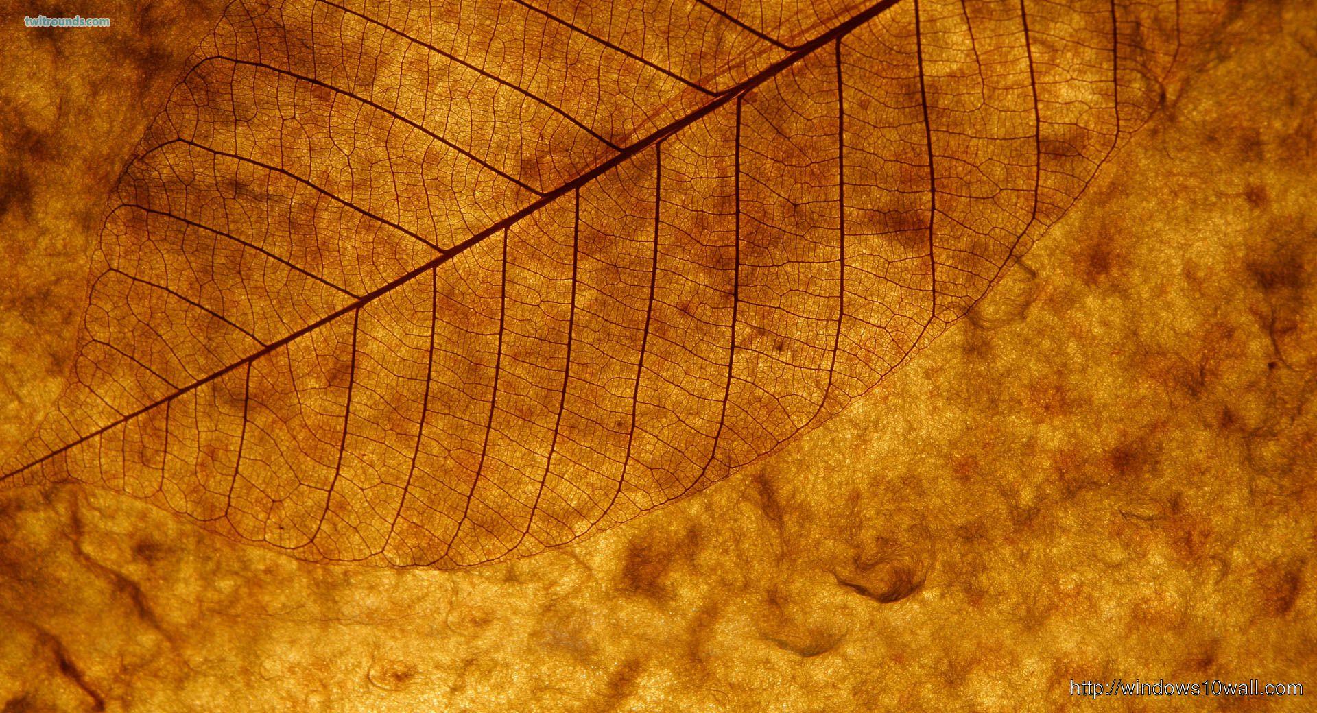 1920x1040 Amber Background .