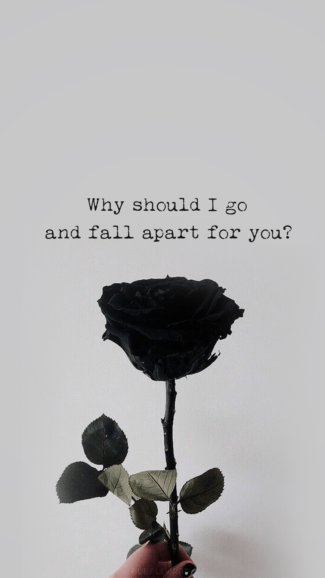 1080x1920 Dark Roses Aesthetic Wallpaper on .wallpaper.dog