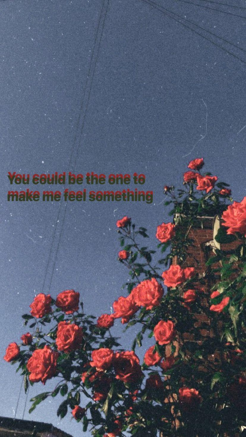828x1469 Wallpaper quotes, Aesthetic iphone .com