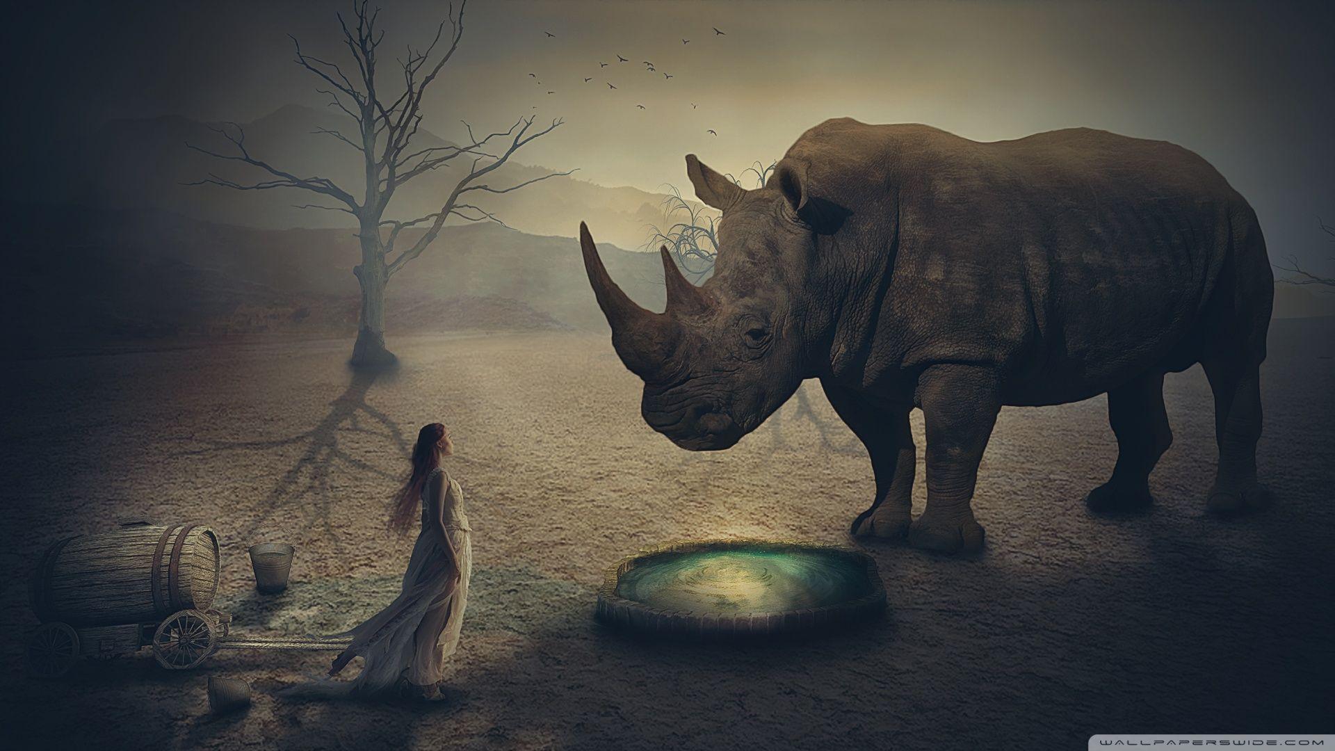 1920x1080 Rhino Wallpaper .