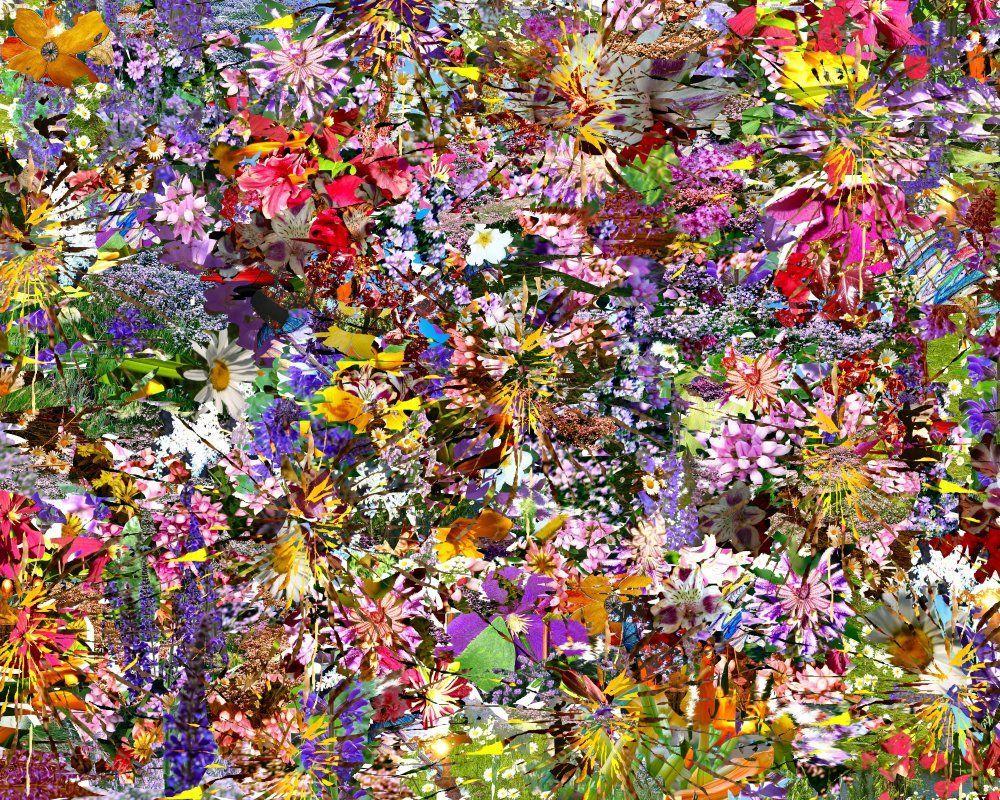 1000x800 Weed Collage Wallpaperwallpaper.dog